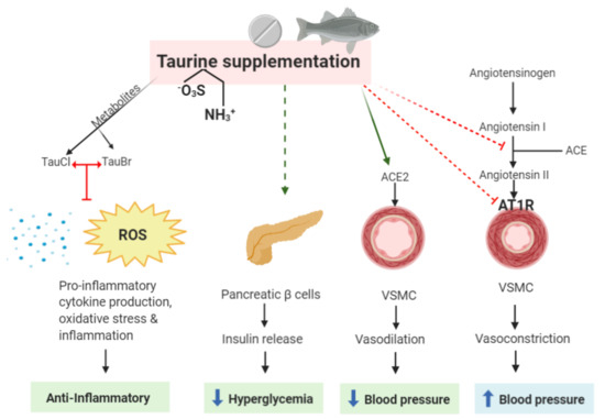 Nutrients 12 02847 g001 550