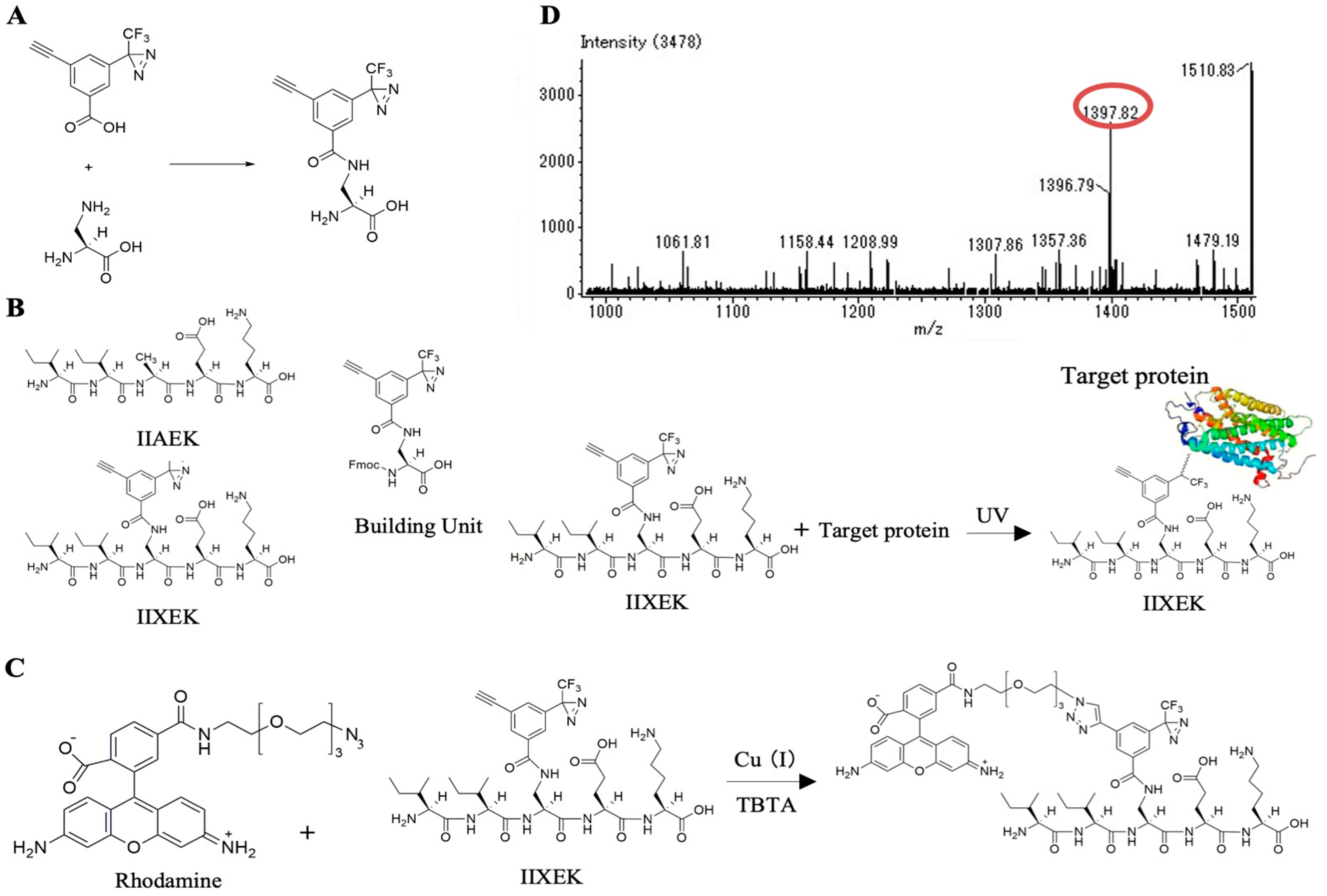 Nutrients 12 02859 g002 Nutrients 12 02859 g002