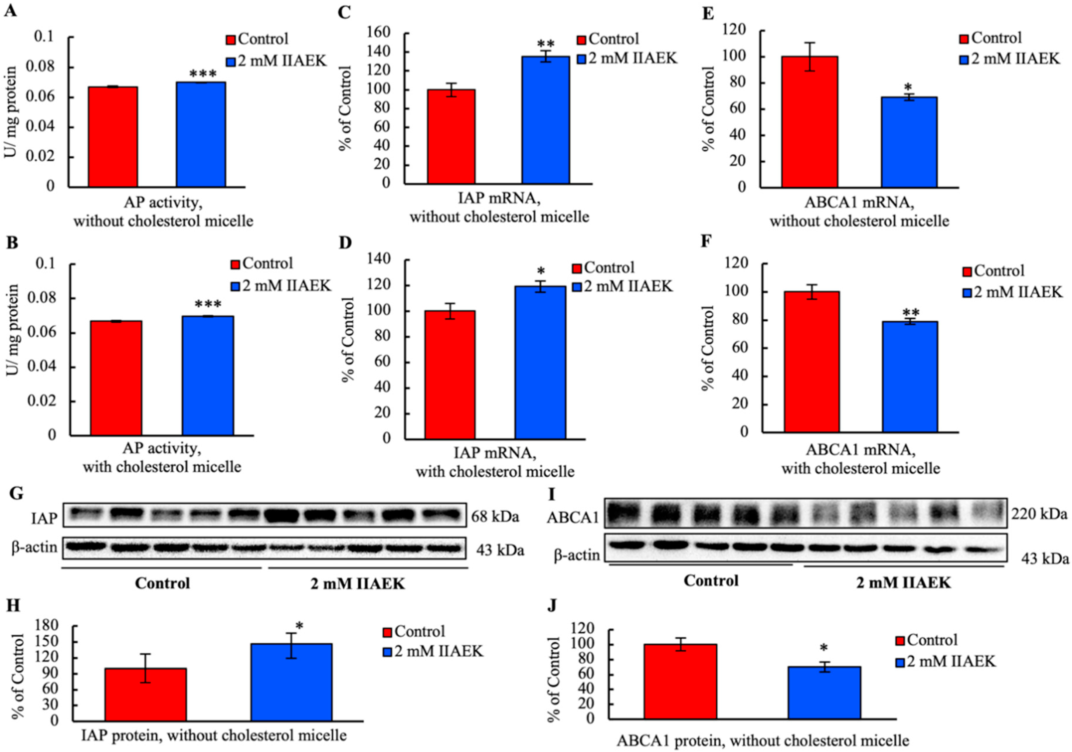Nutrients 12 02859 g005 Nutrients 12 02859 g005