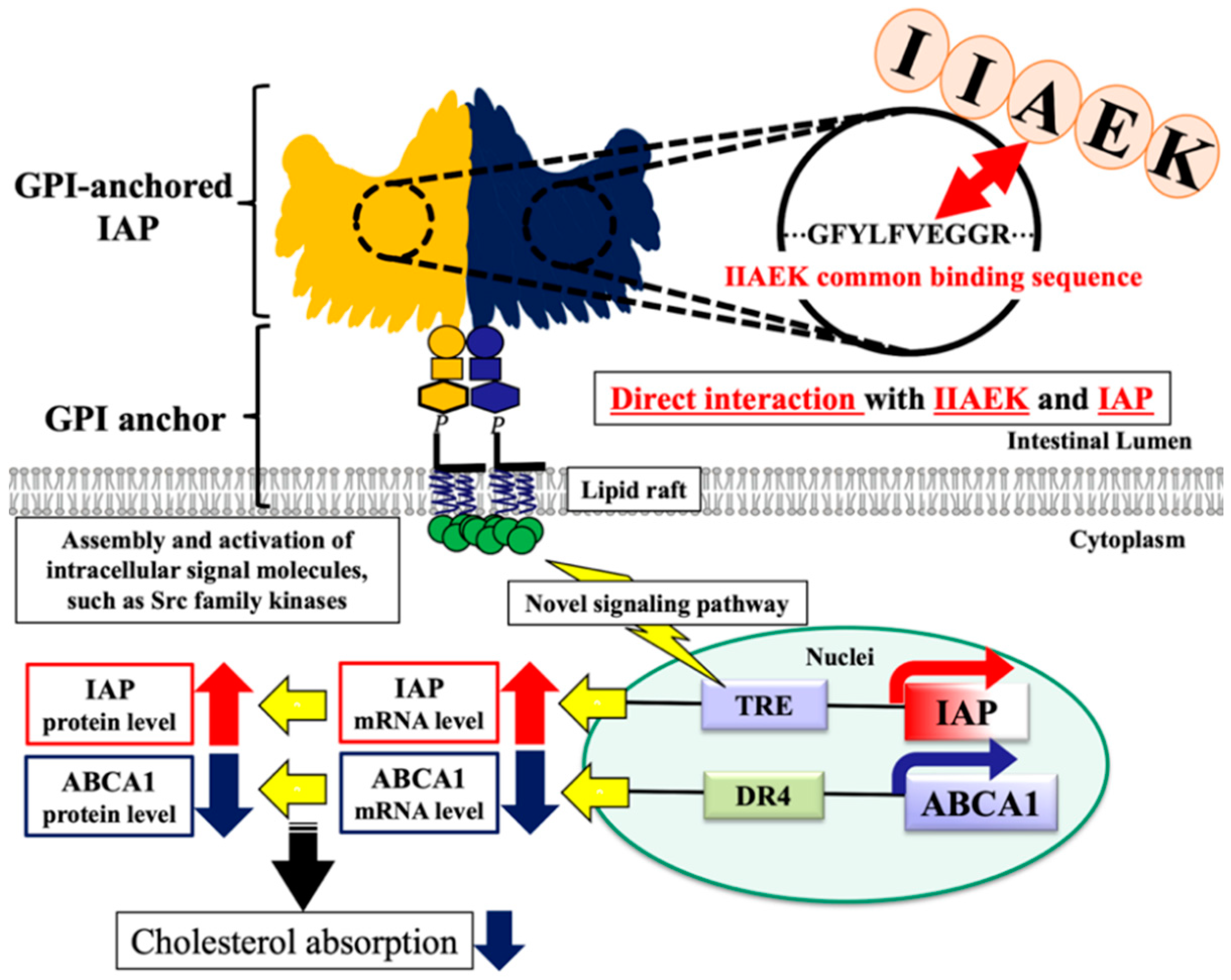 Nutrients 12 02859 g006 Nutrients 12 02859 g006