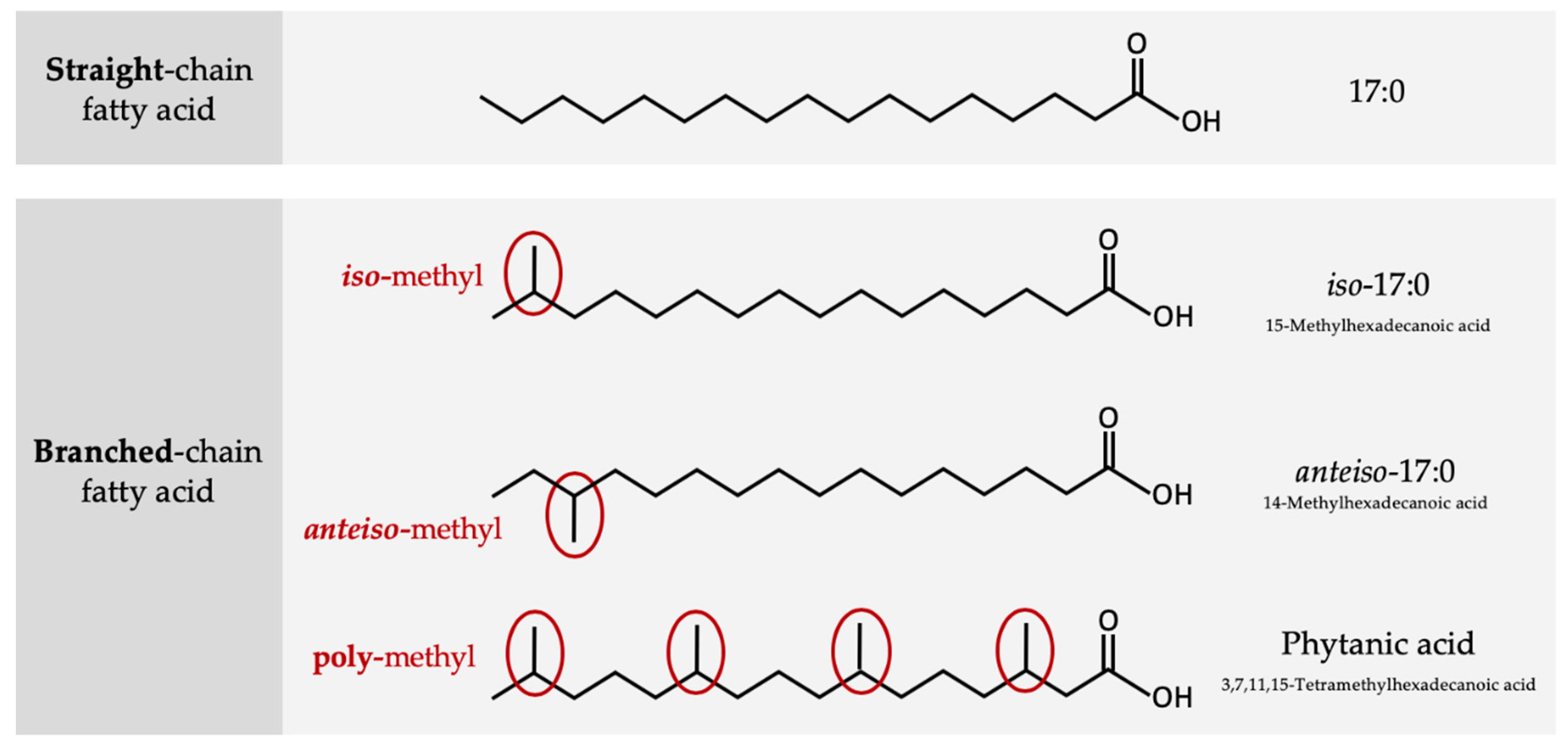 Biomolecules | Free Full-Text | Arachidonic Acid as an 