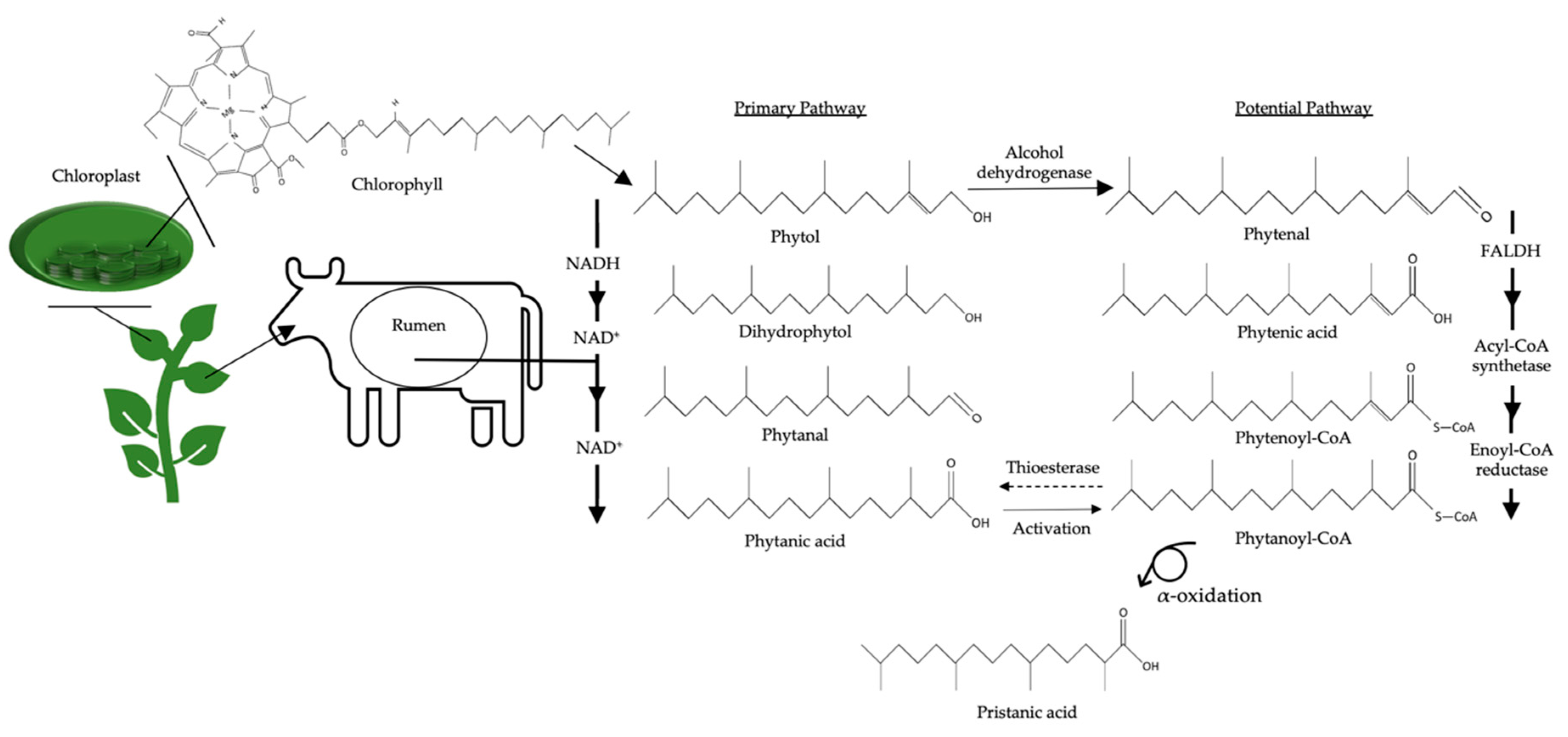 Nutrients 12 02875 g003 Nutrients 12 02875 g003