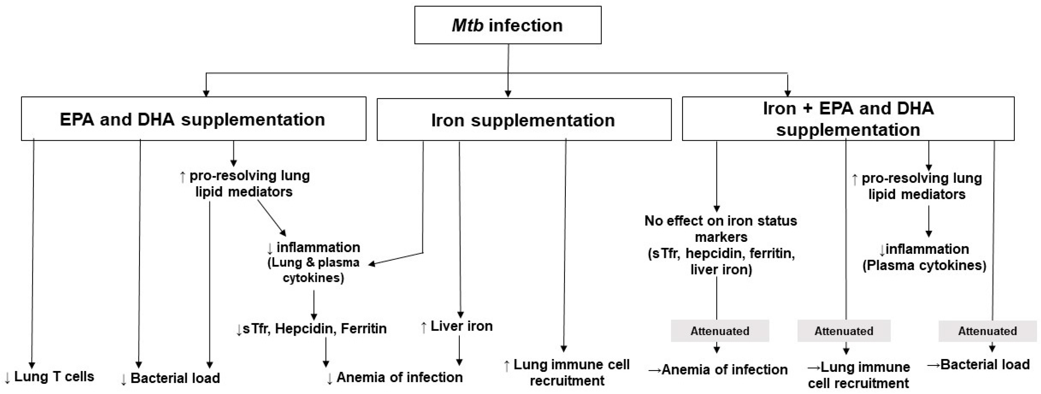Nutrients  Free Full-Text  Omega-3 Fatty Acid and Iron 