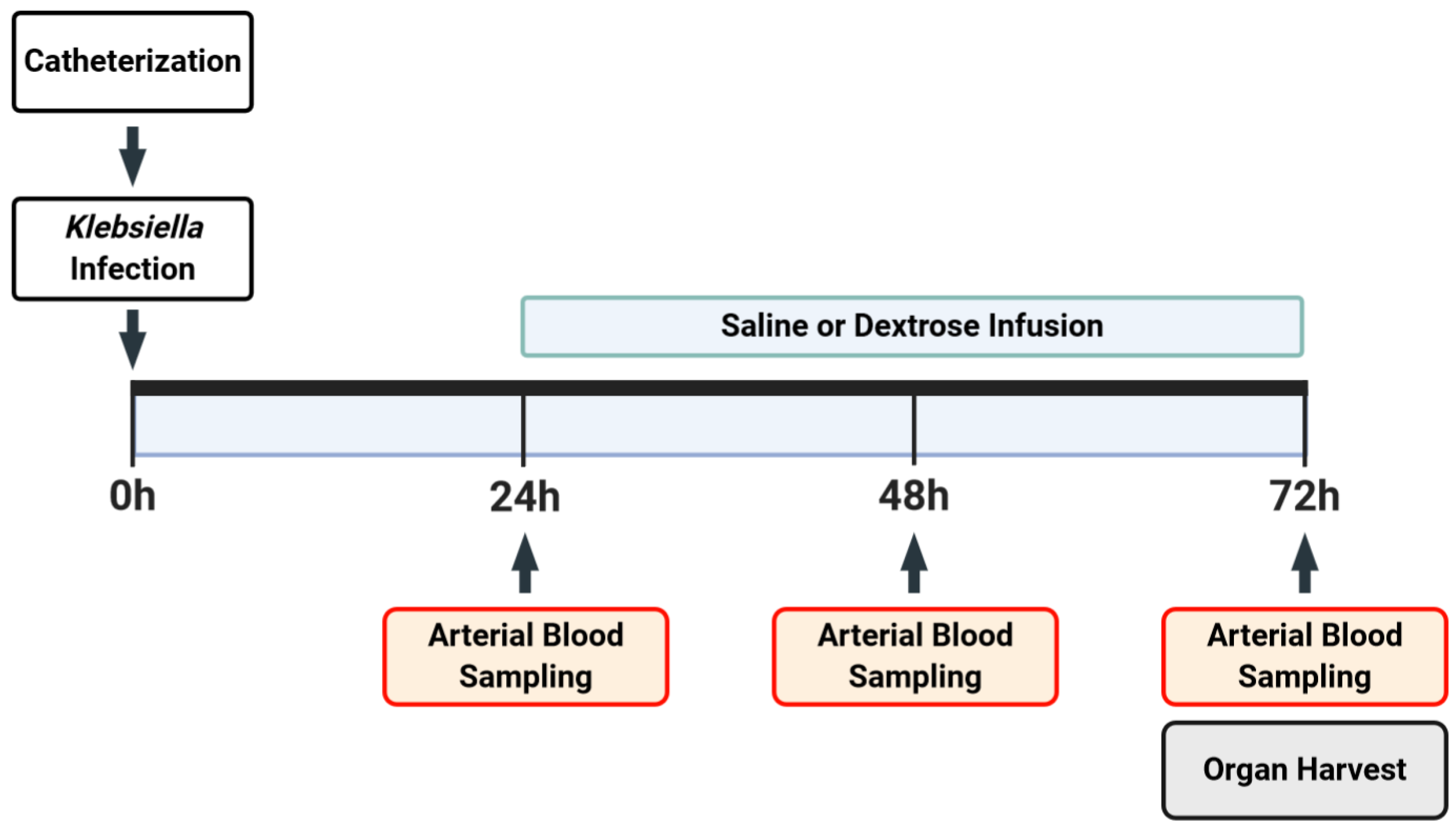 Nutrients 12 02901 g001
