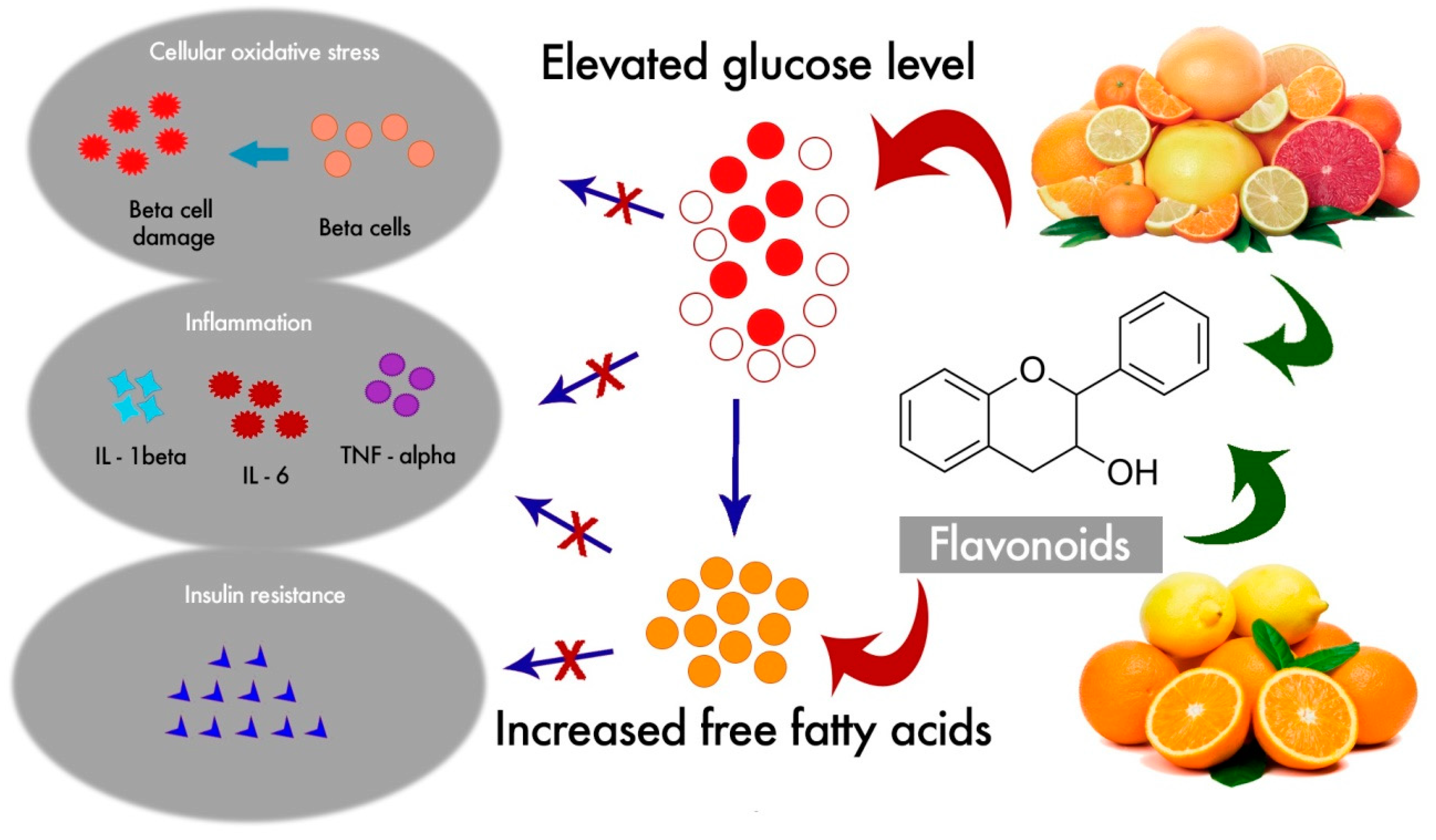 Nutrients 12 02907 g003 Nutrients 12 02907 g003