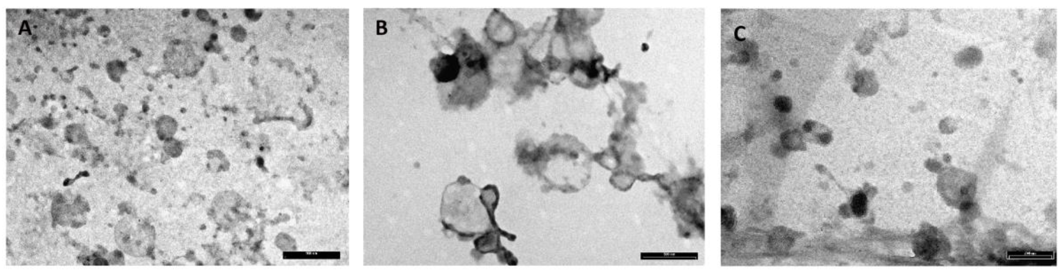 Nutrients 12 02908 g003