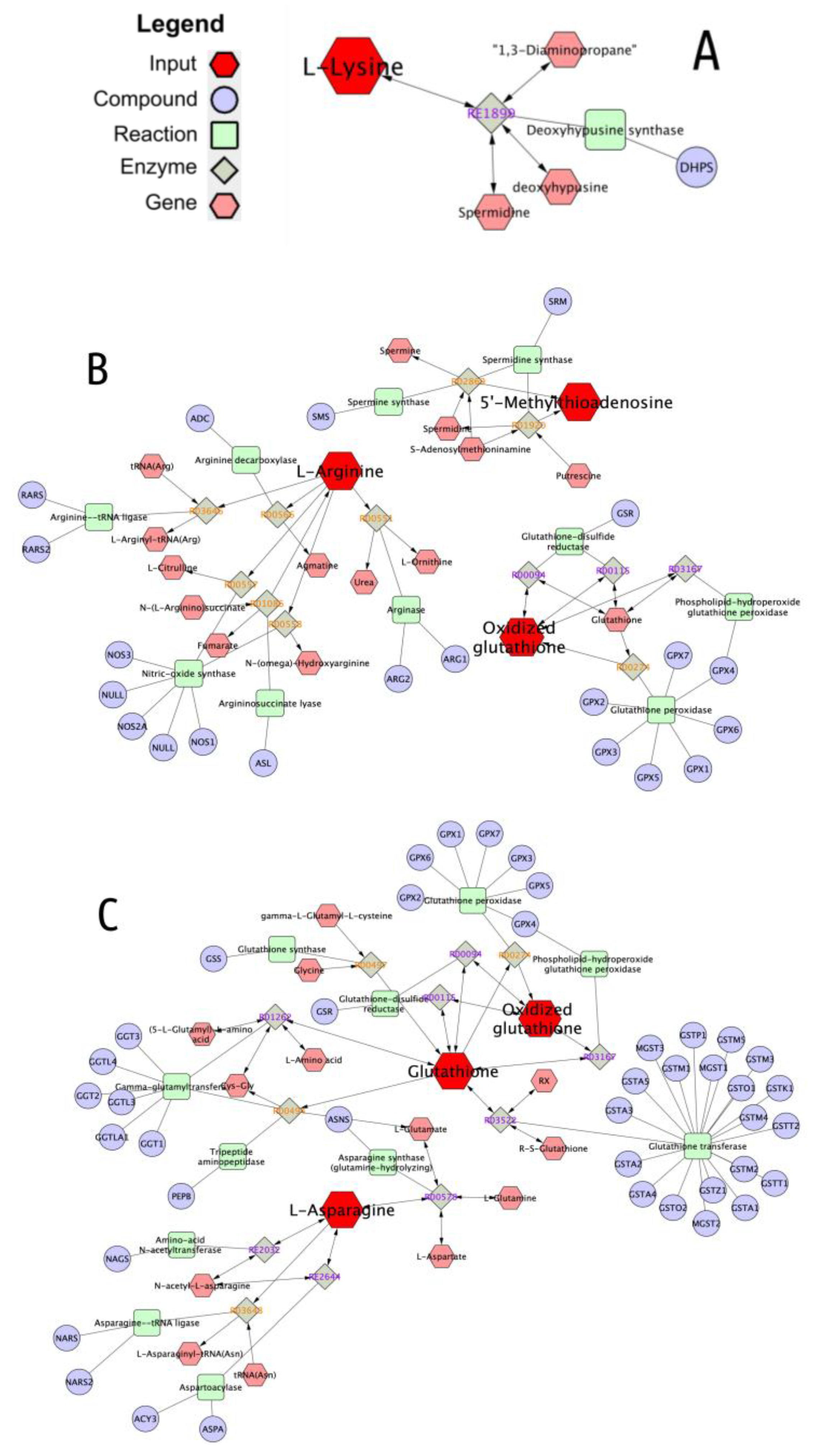 Nutrients 12 02908 g007