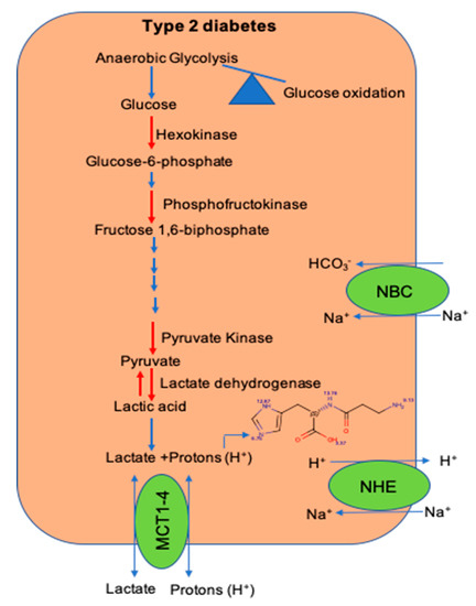 Nutrients 12 02910 g002 550