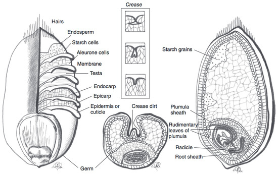 Nutrients 12 02922 g002 550