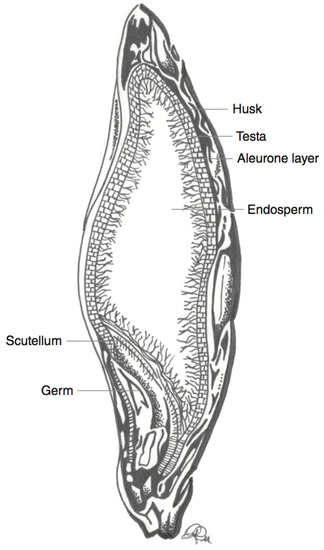 Nutrients 12 02922 g003 550