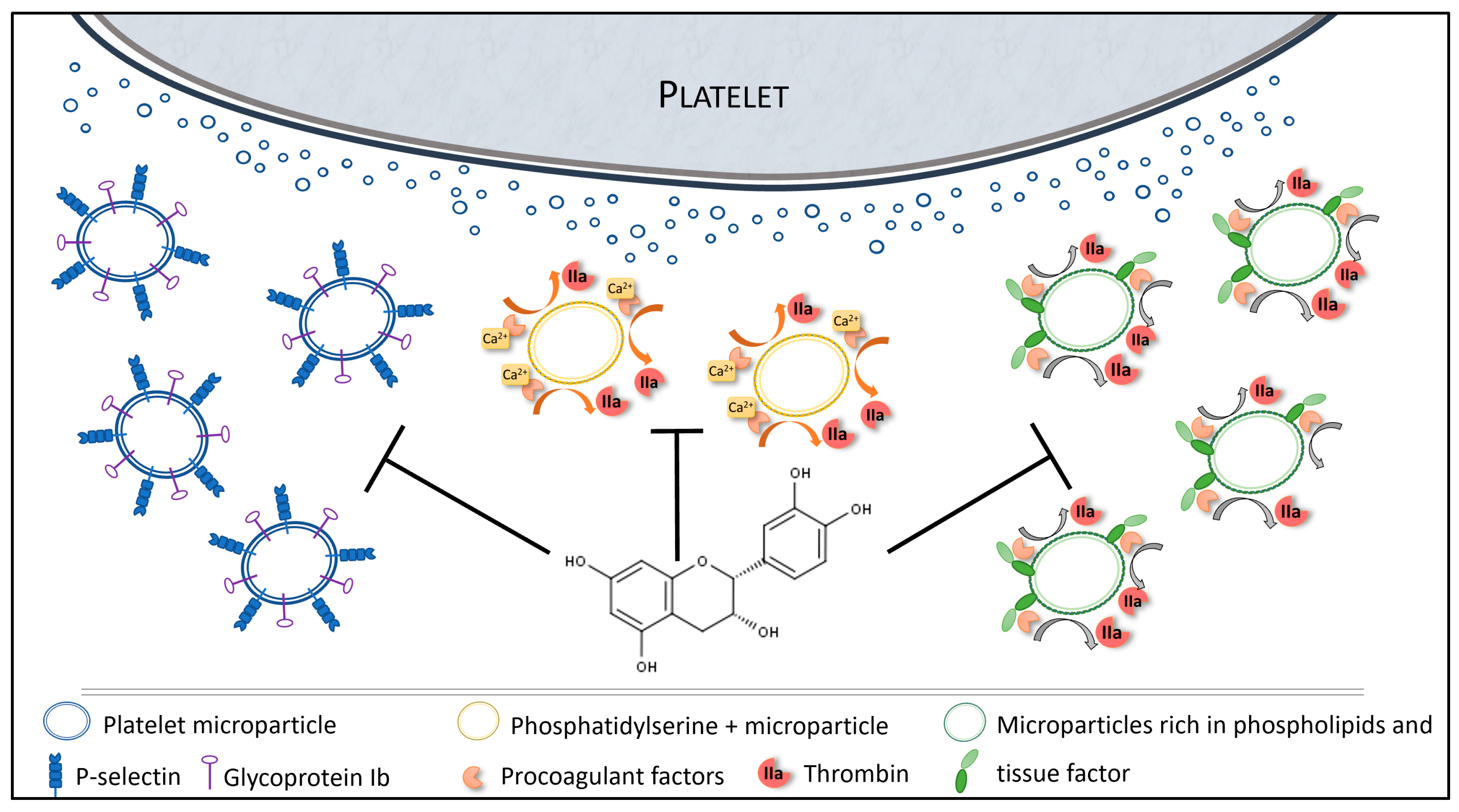 Nutrients 12 02935 g006