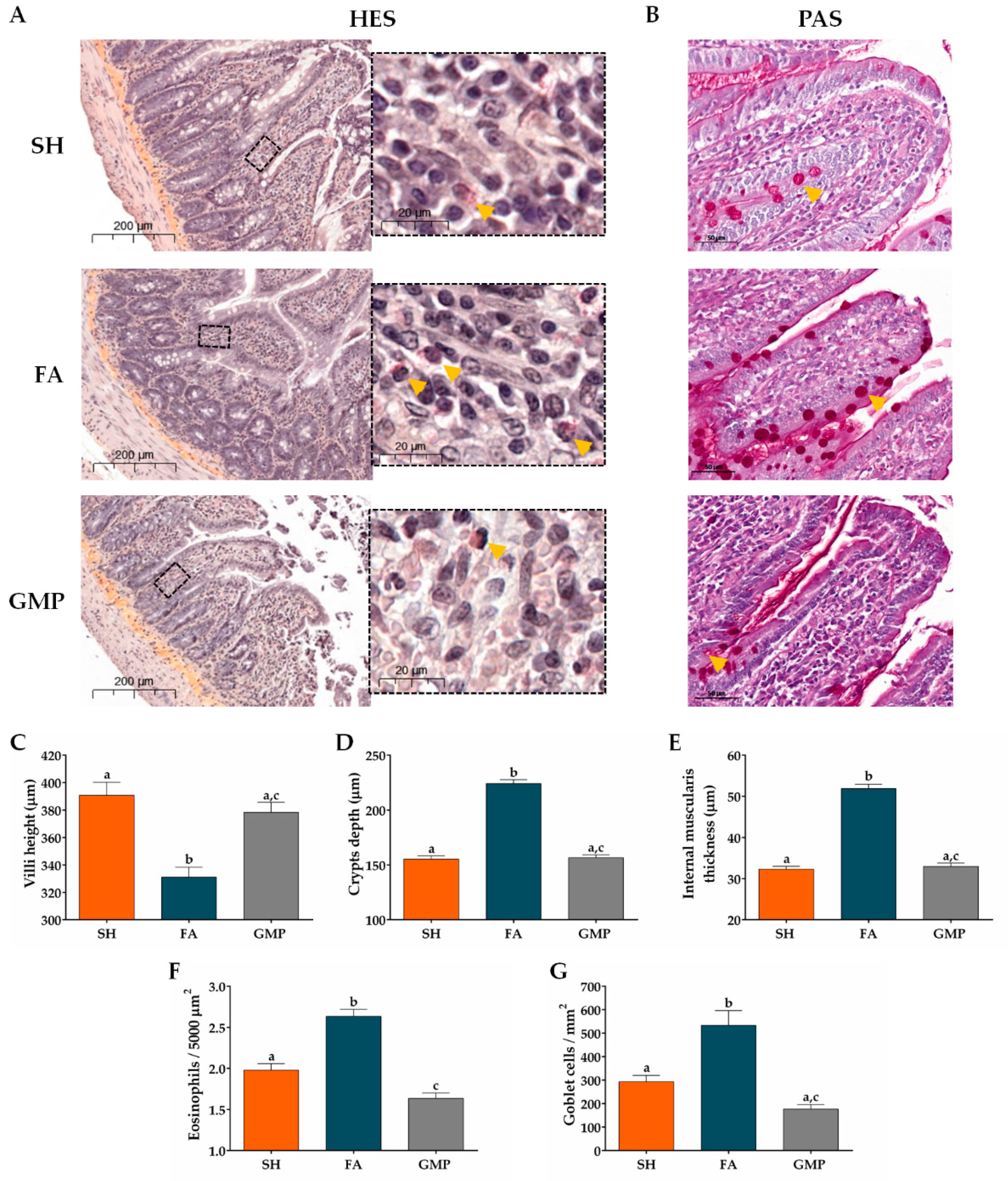 Nutrients 12 02942 g007 Nutrients 12 02942 g007