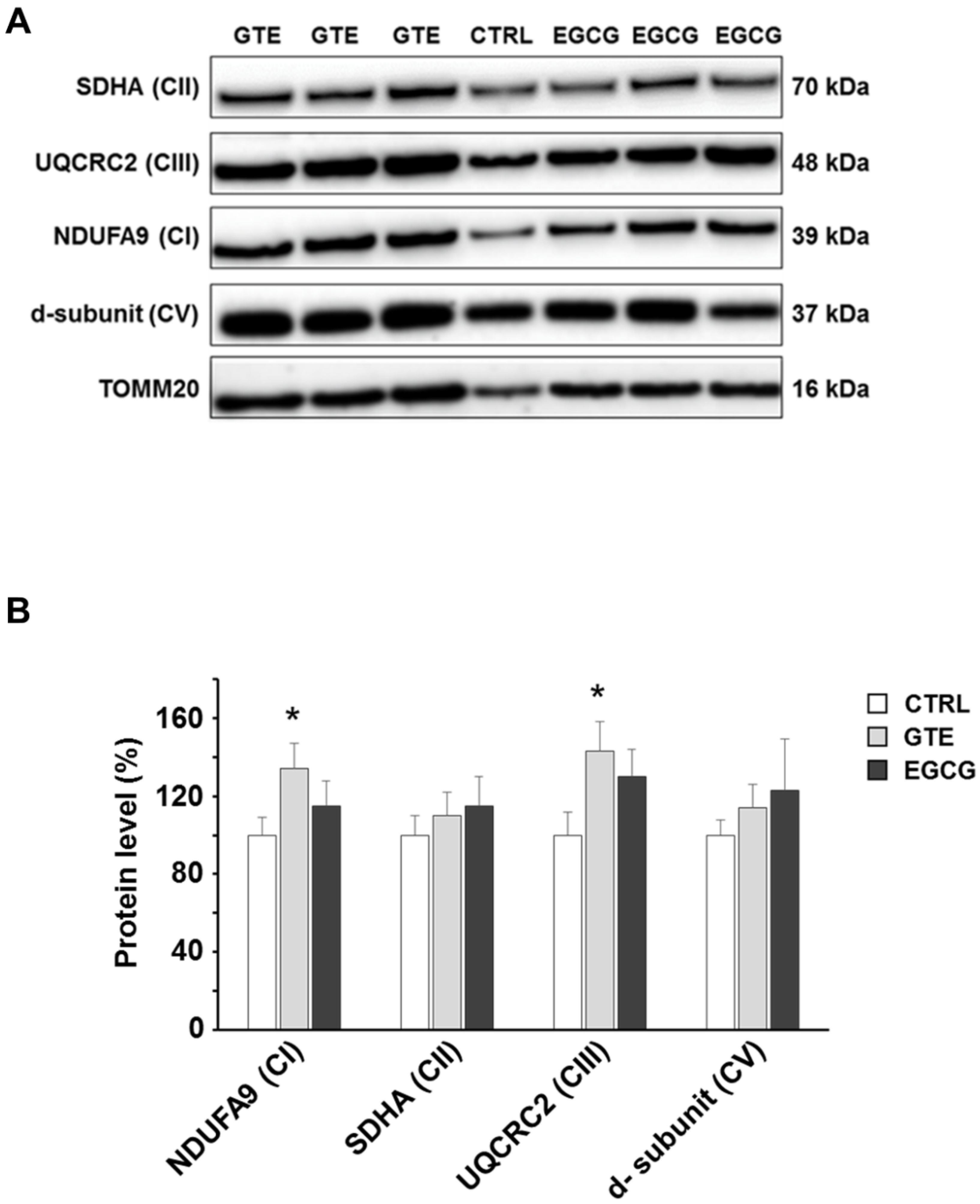 Nutrients 12 02949 g003 Nutrients 12 02949 g003