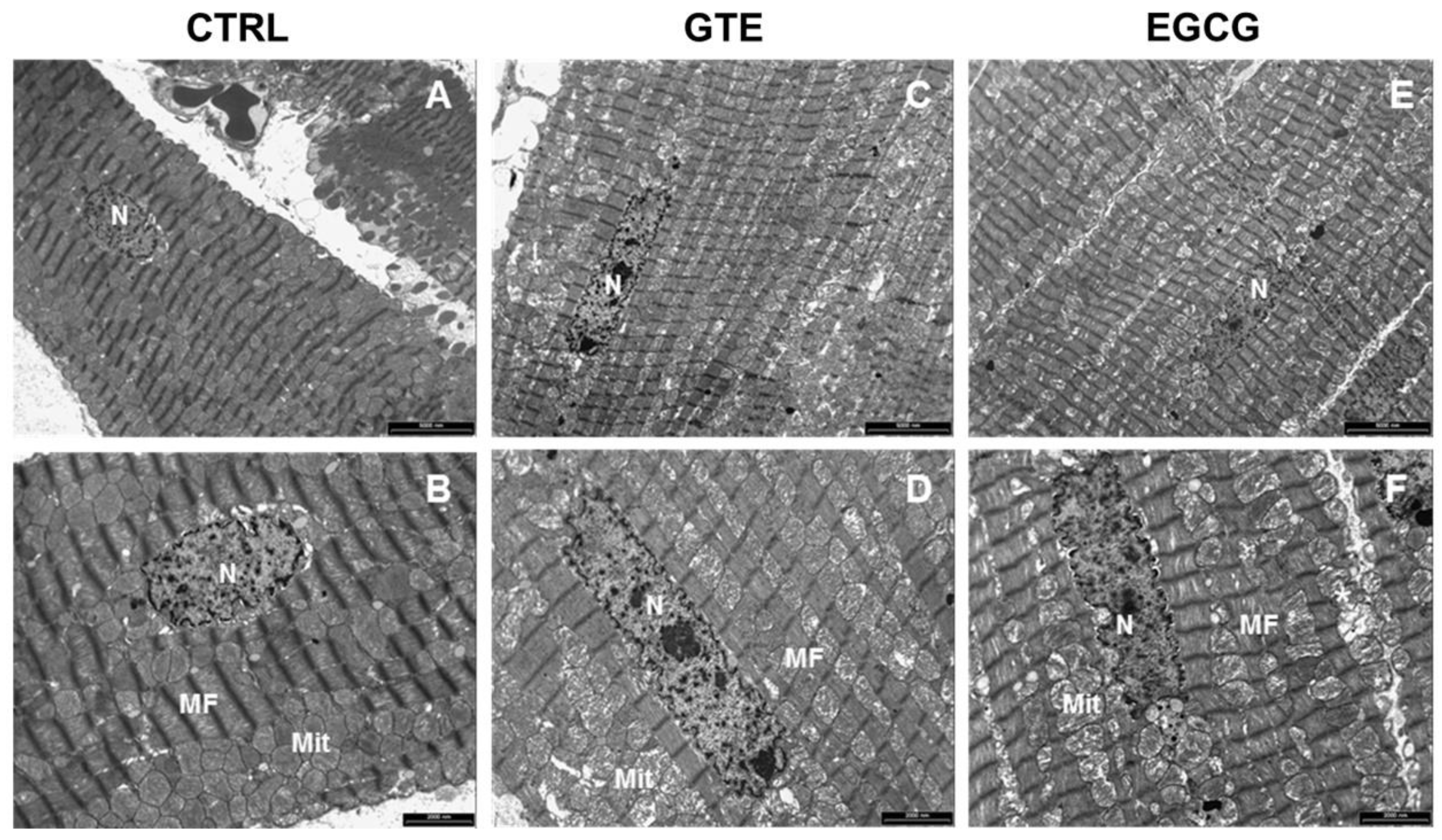 Nutrients 12 02949 g005 Nutrients 12 02949 g005
