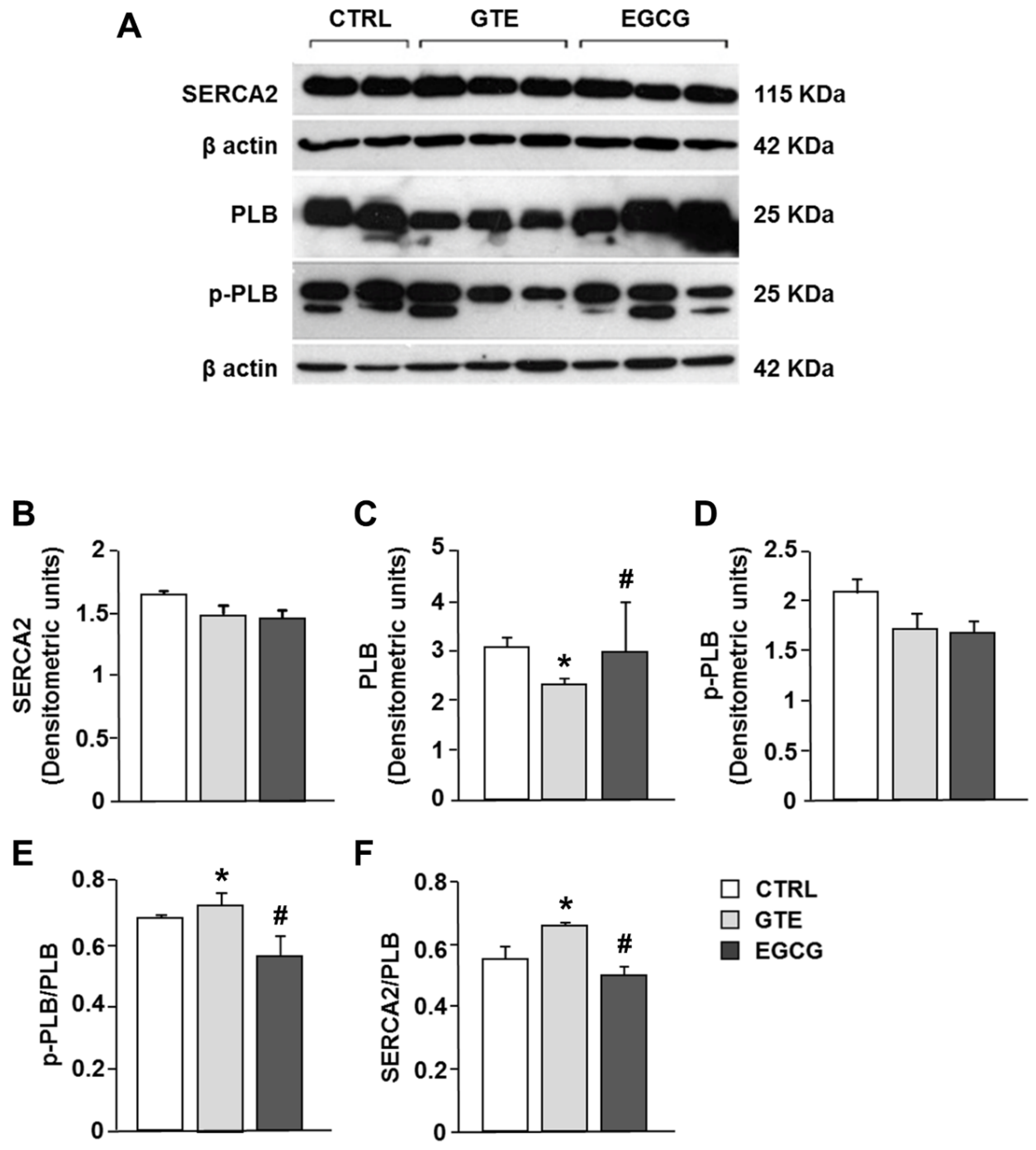 Nutrients 12 02949 g007 Nutrients 12 02949 g007