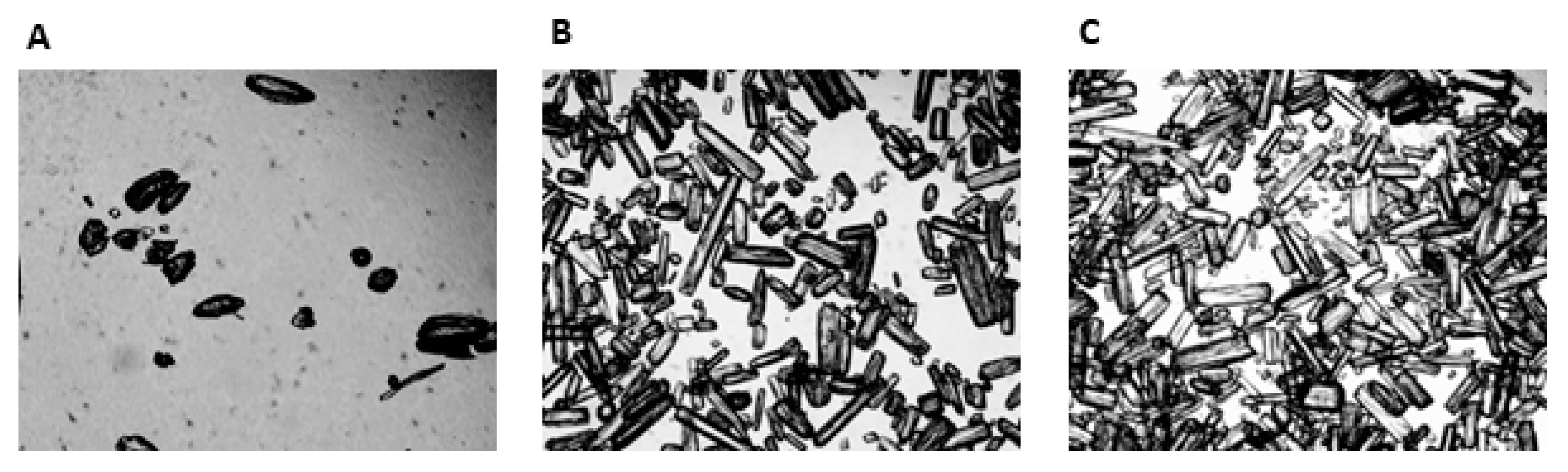 Nutrients 12 02953 g003 Nutrients 12 02953 g003