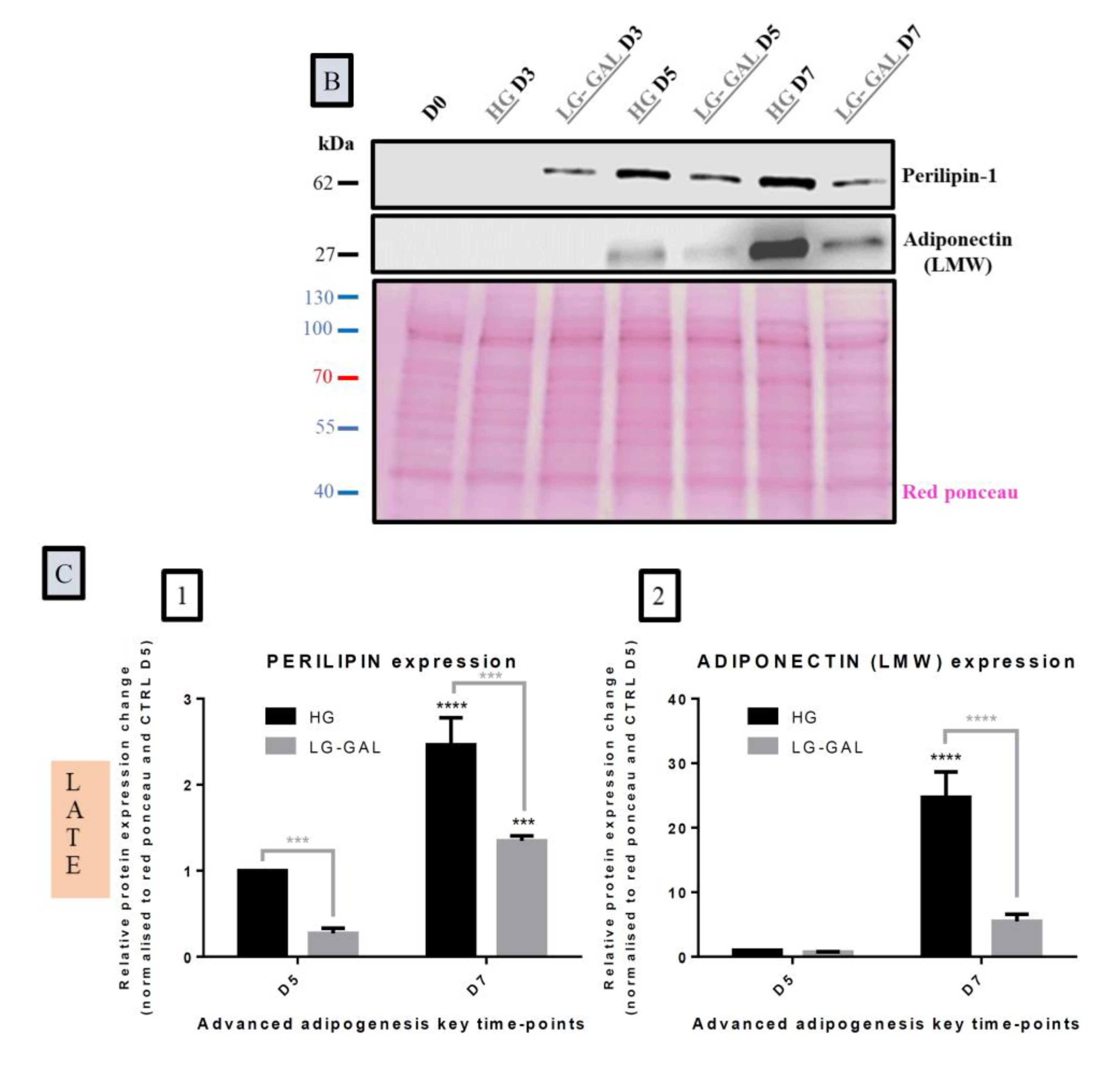 Nutrients 12 02984 g002b Nutrients 12 02984 g002b