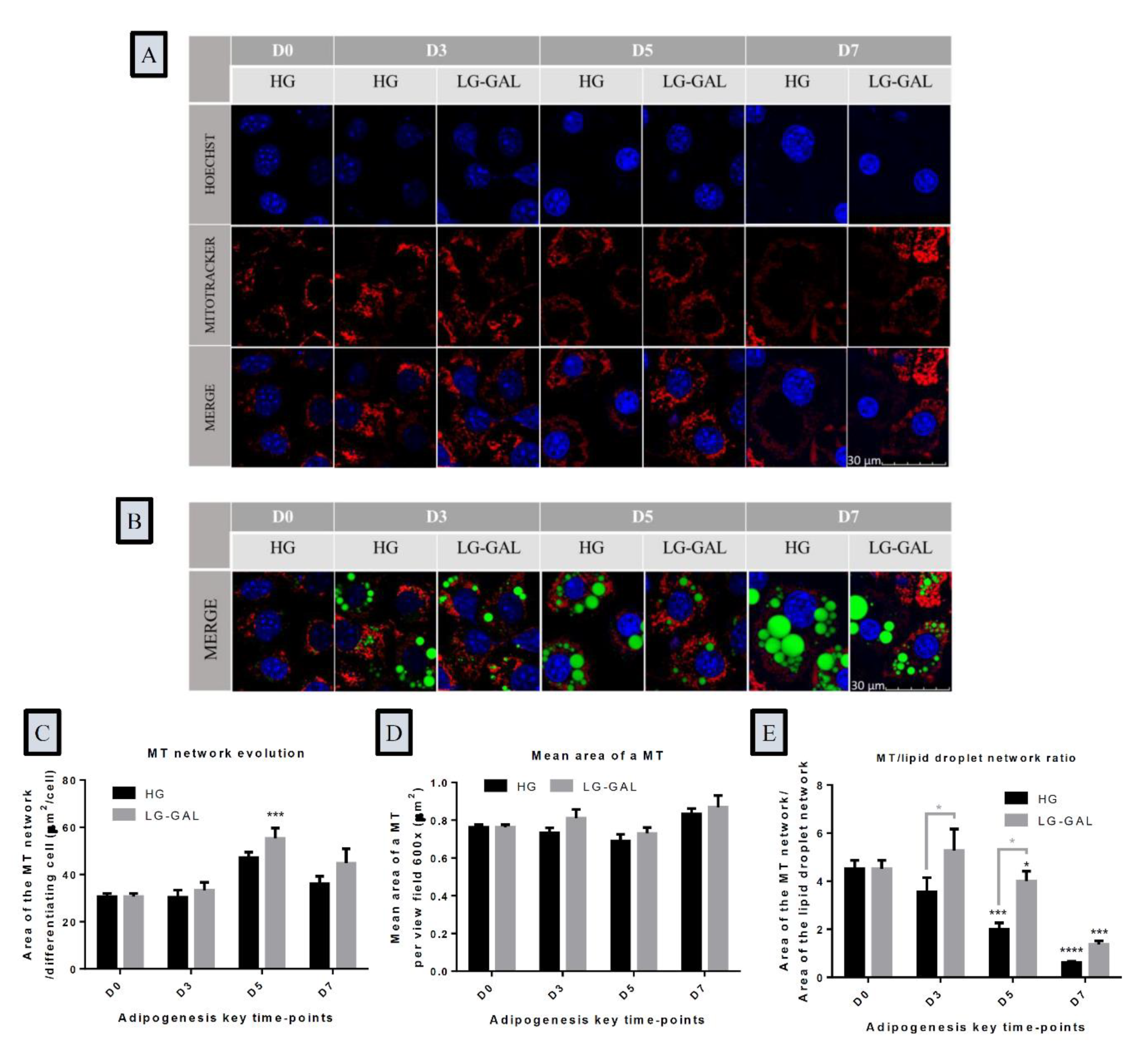 Nutrients 12 02984 g004 Nutrients 12 02984 g004