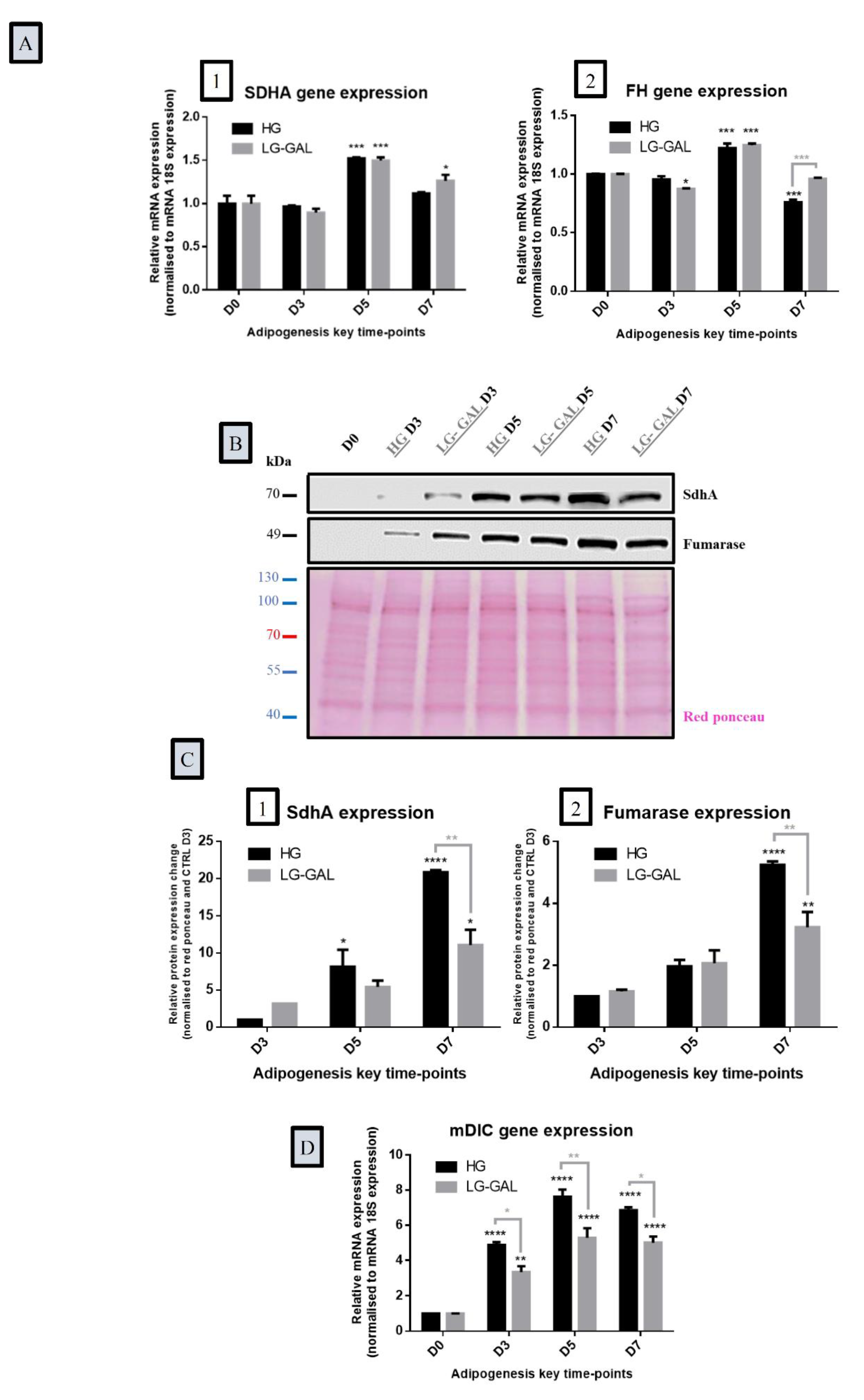 Nutrients 12 02984 g006 Nutrients 12 02984 g006