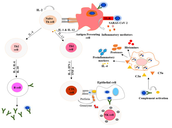 Nutrients 12 02992 g001 550