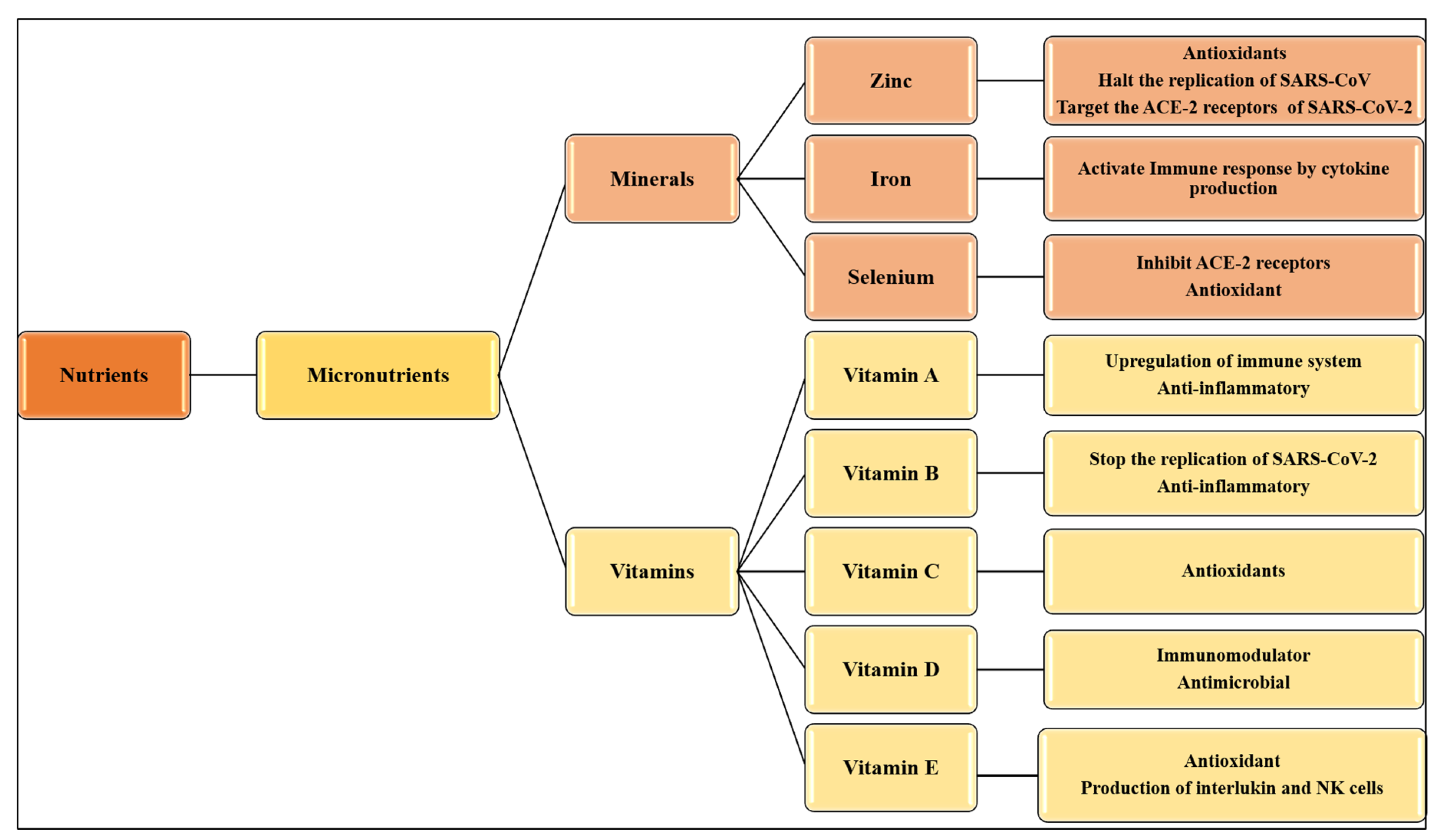Nutrients 12 02992 g002