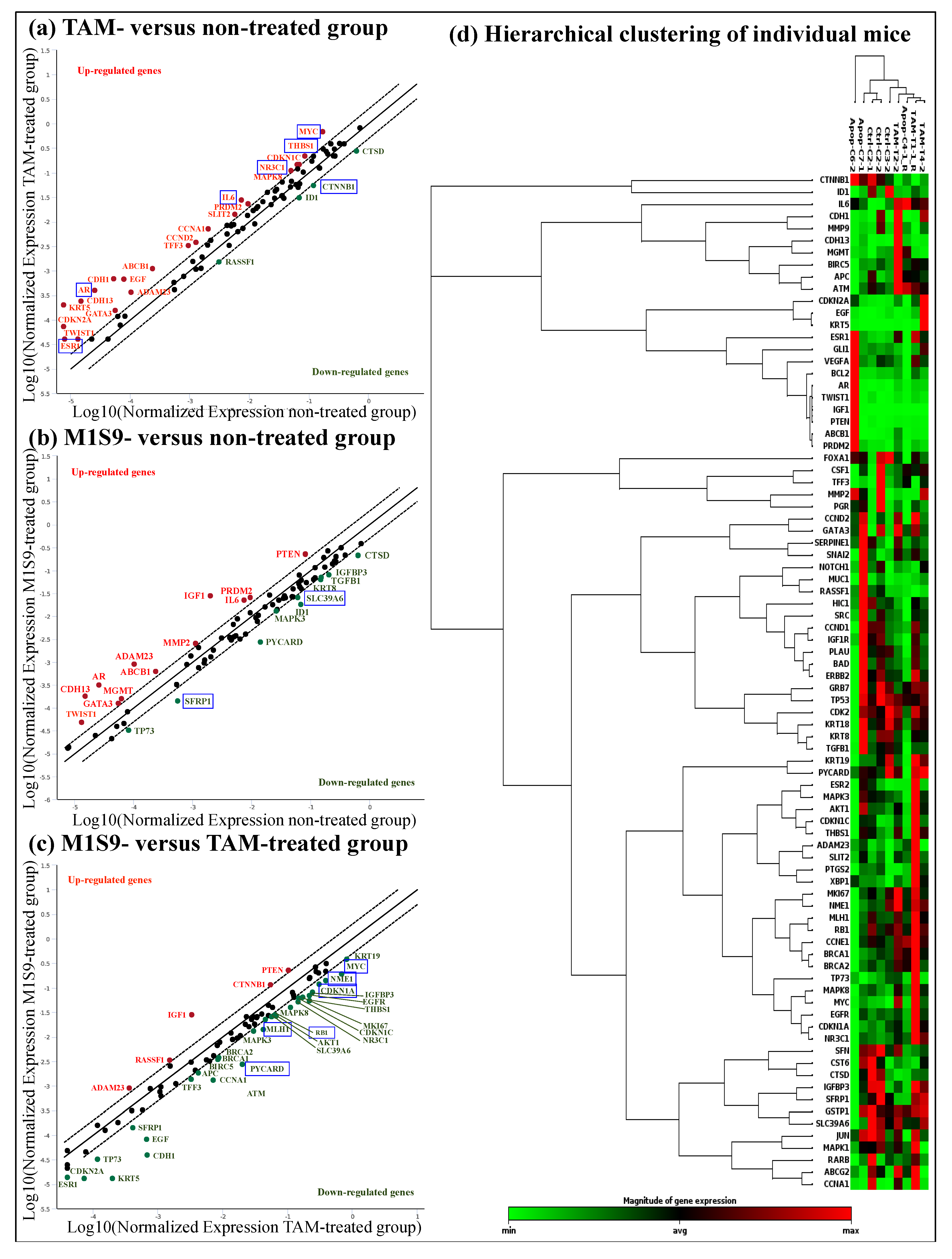 Nutrients 12 02993 g002