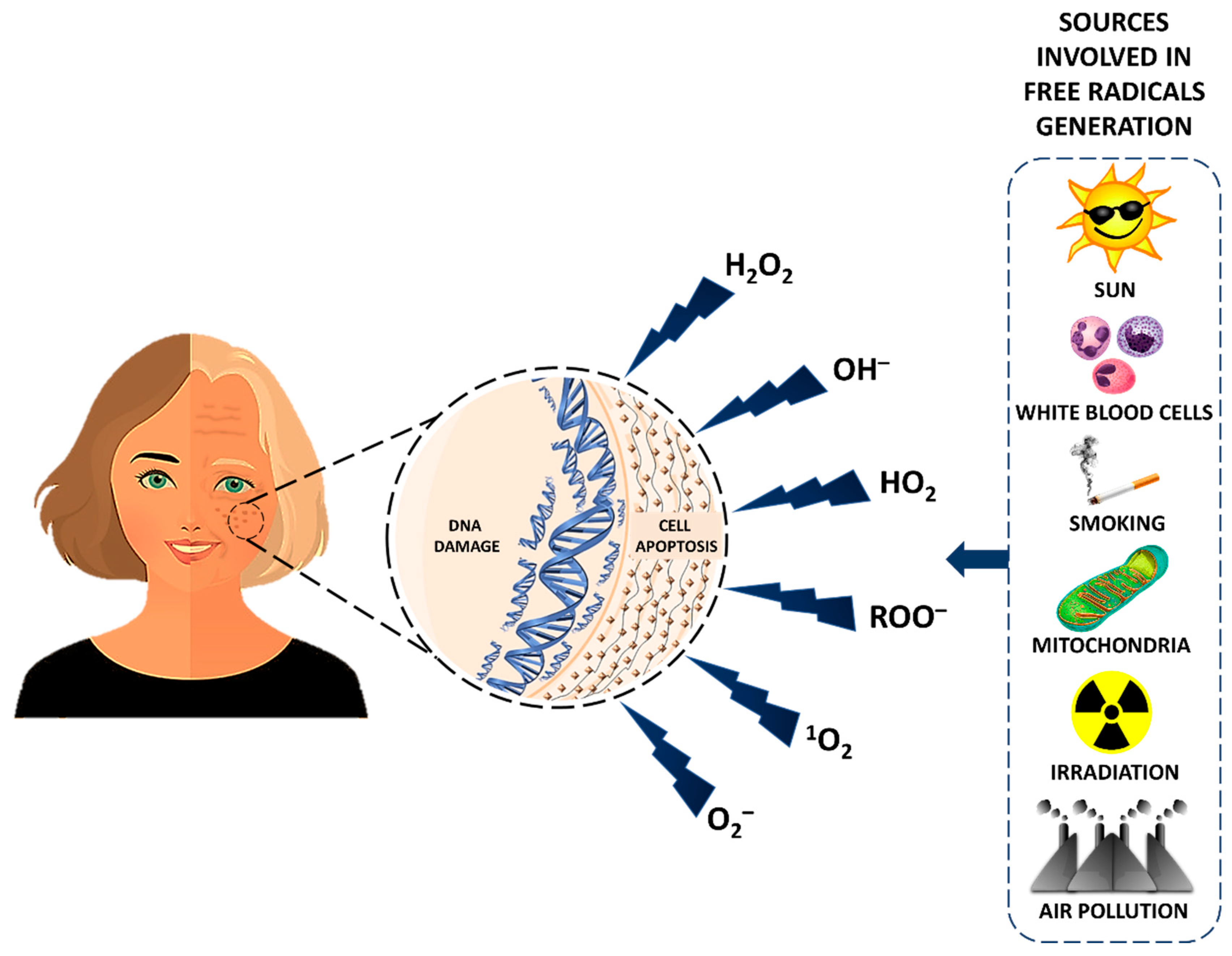 Nutrients 12 03008 g002 Nutrients 12 03008 g002