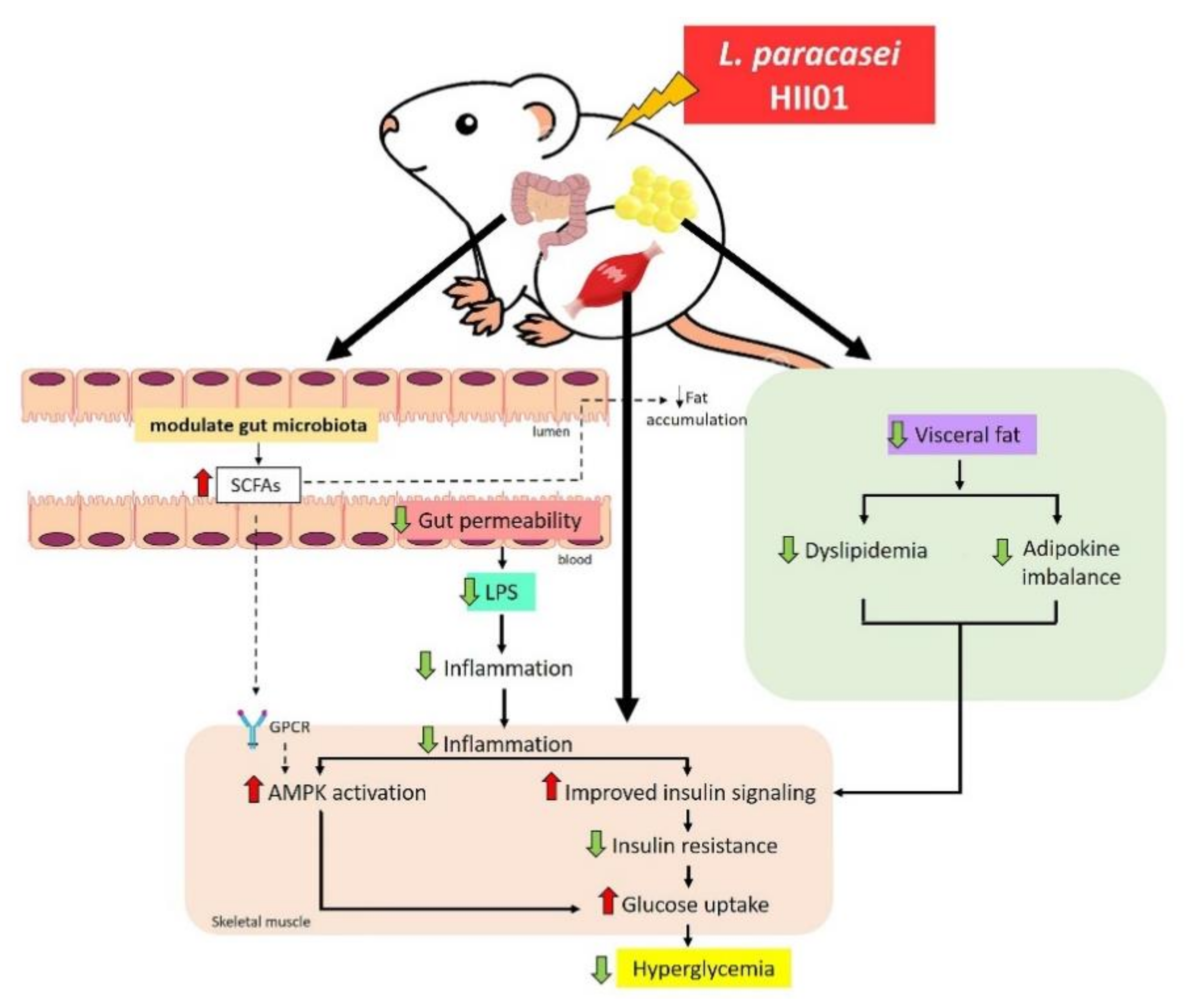 Nutrients 12 03015 g008