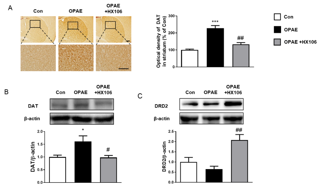 Nutrients 12 03027 g002 Nutrients 12 03027 g002