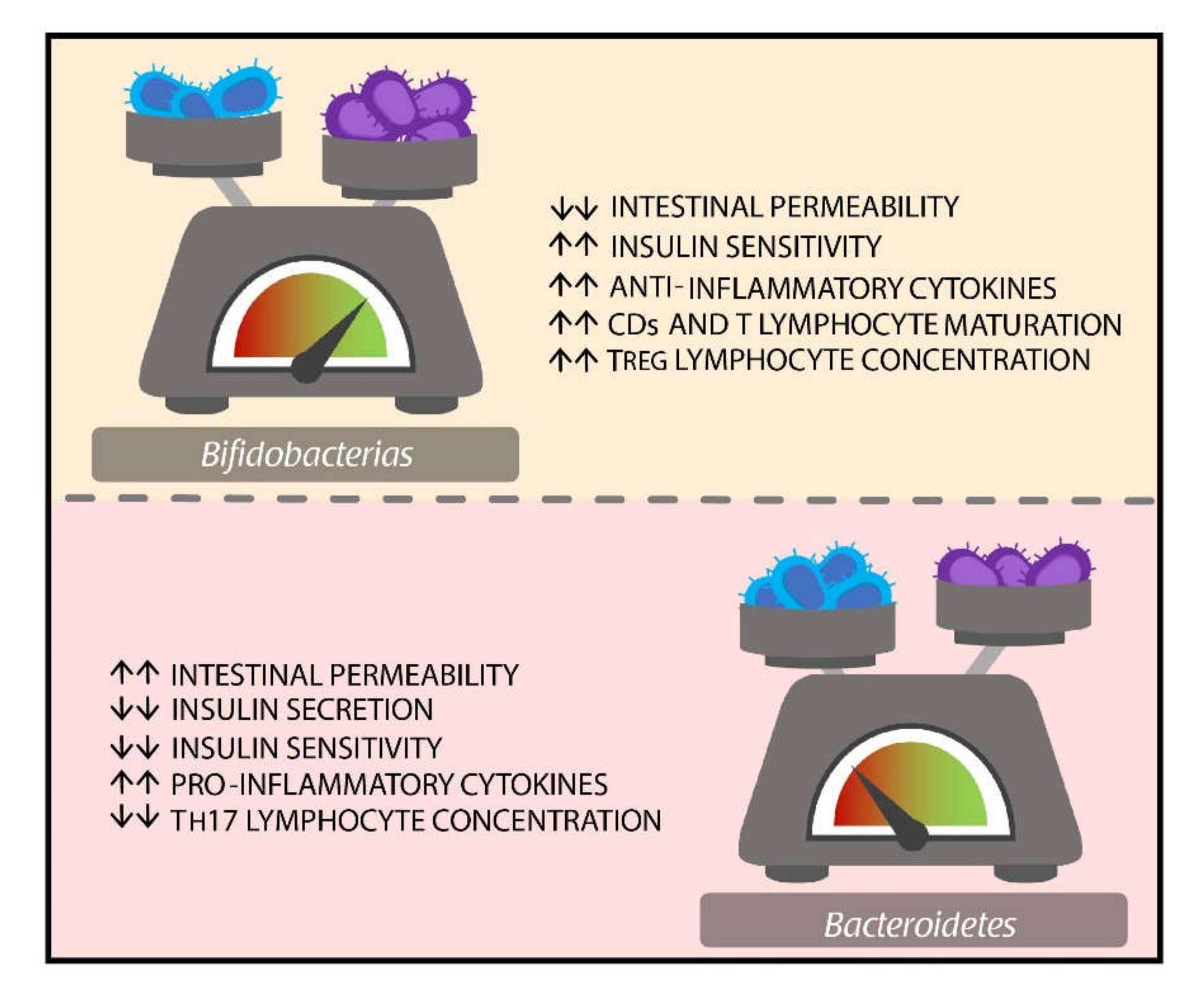 Nutrients 12 03039 g002