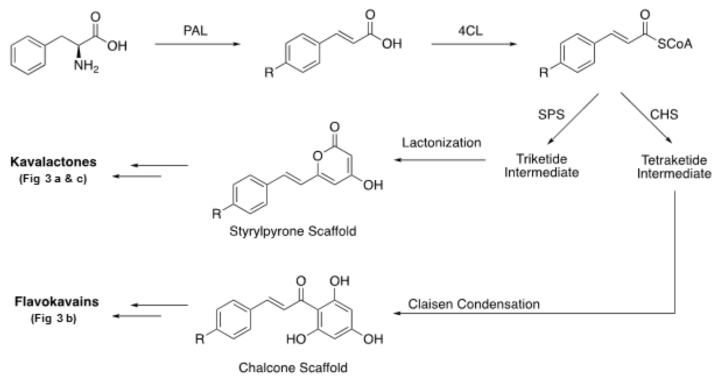 Nutrients 12 03044 g004