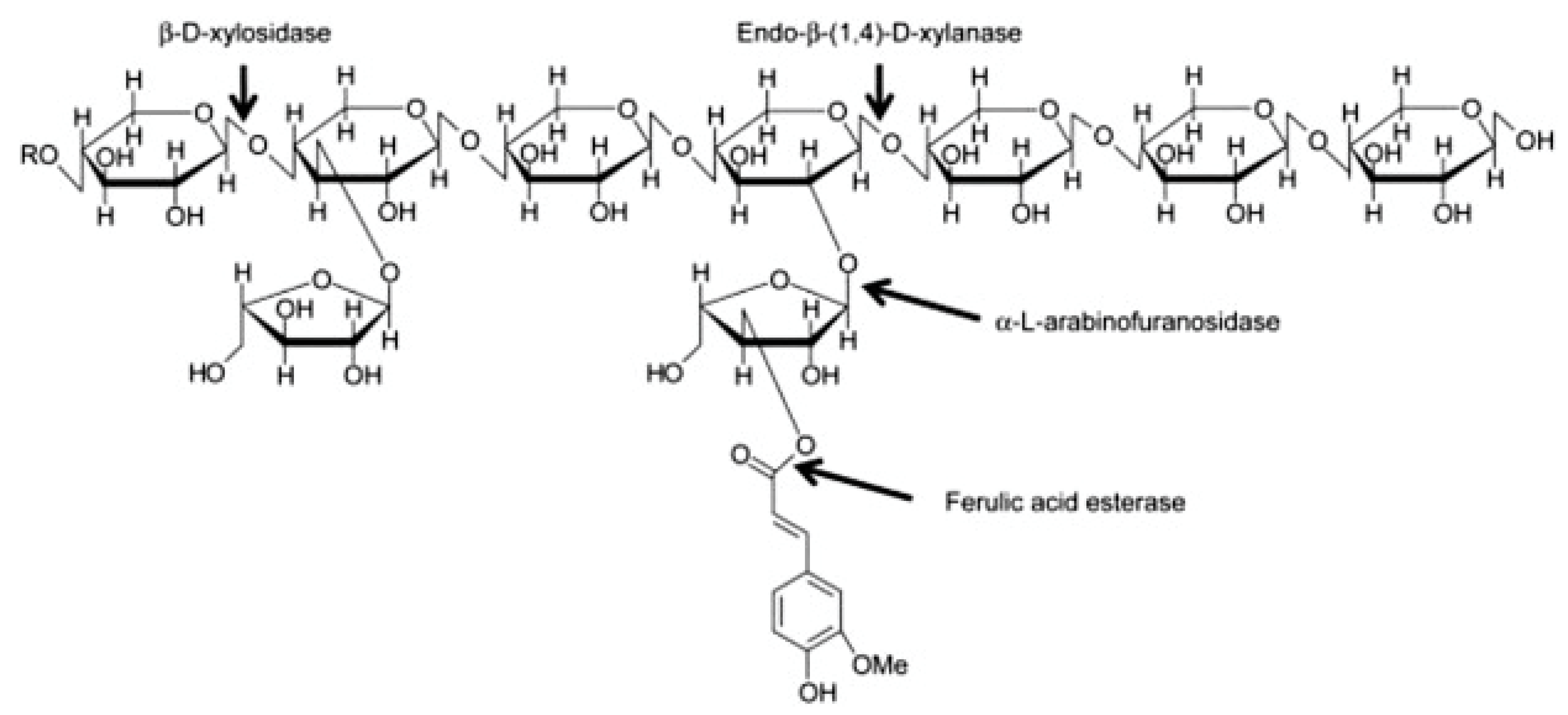 Nutrients 12 03045 g002