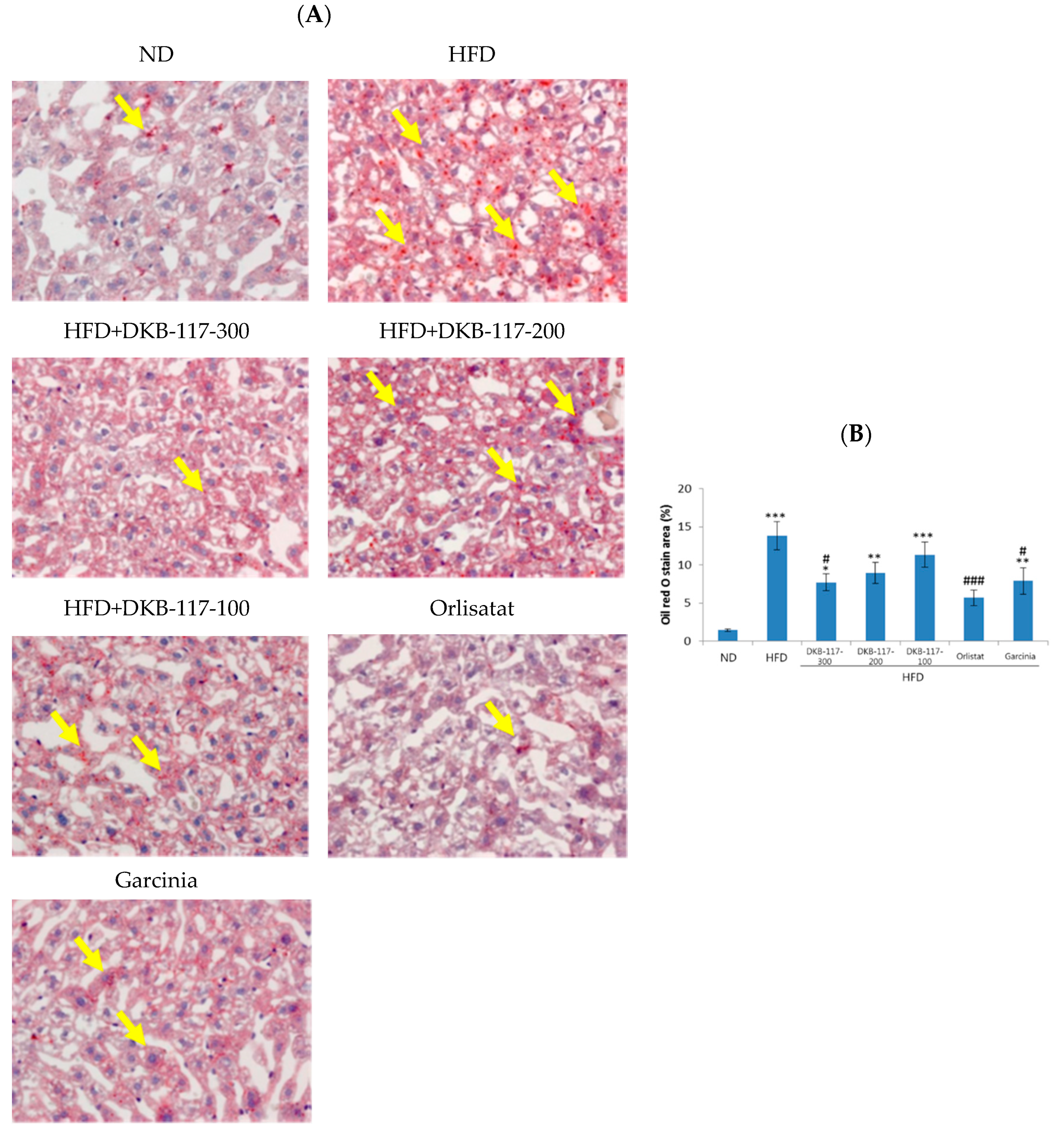 Nutrients 12 03053 g004