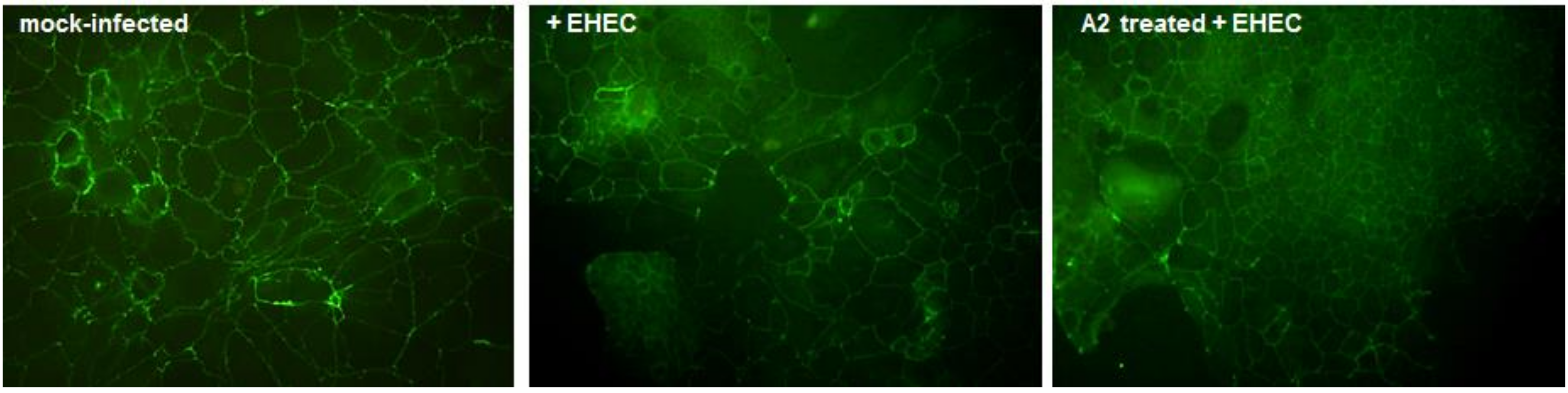 Nutrients 12 03064 g007