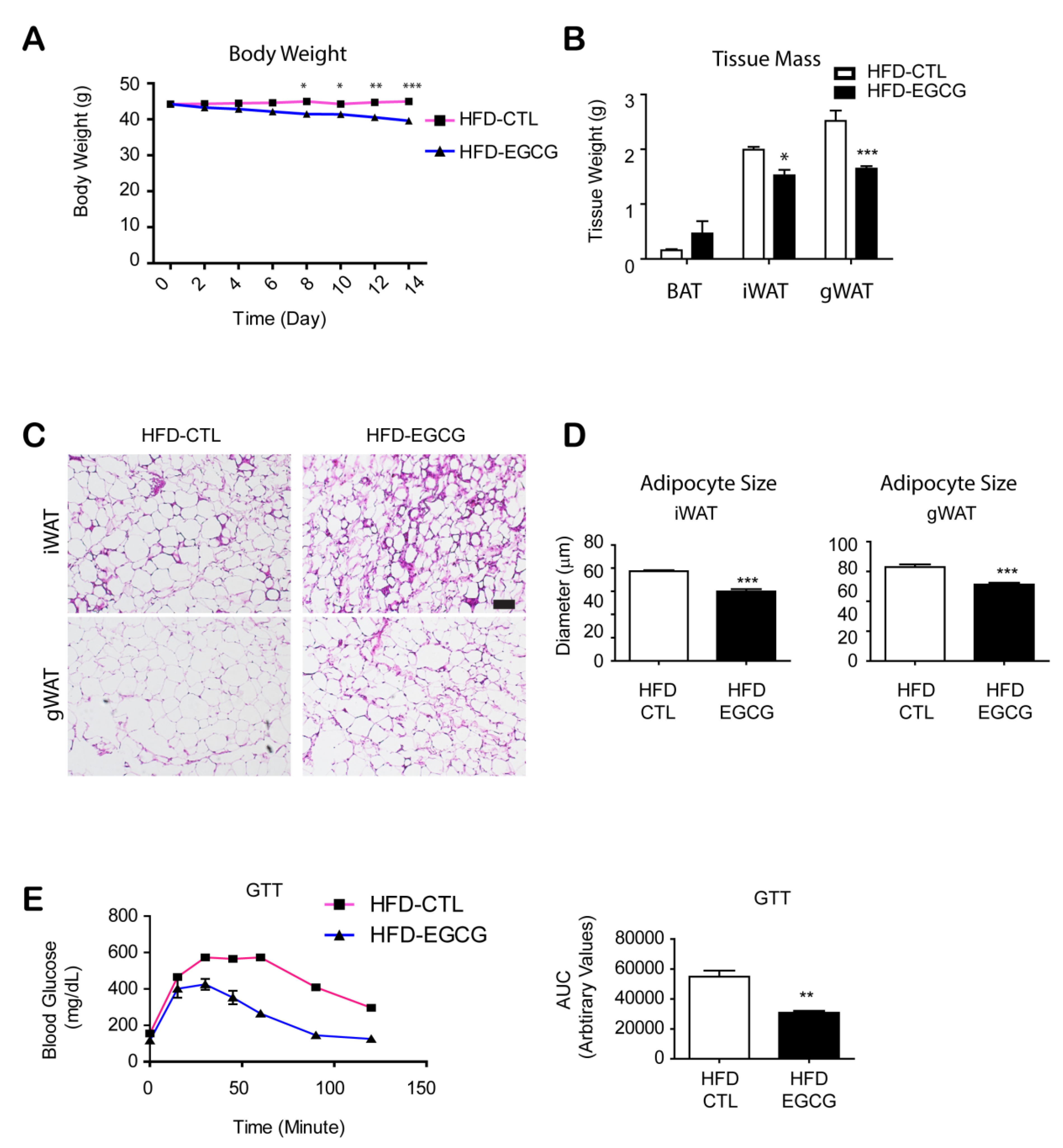 Nutrients 12 03072 g001