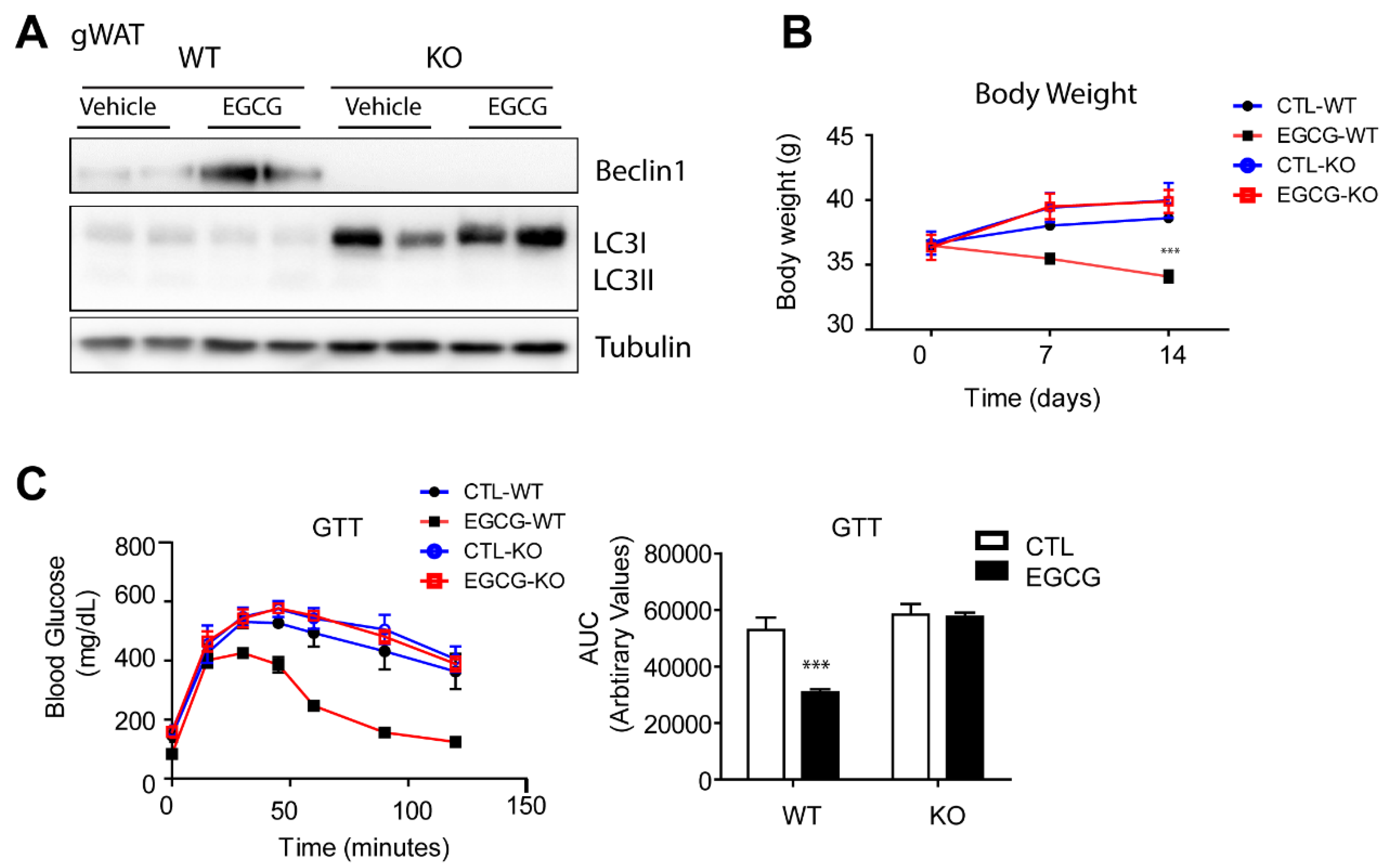 Nutrients 12 03072 g005