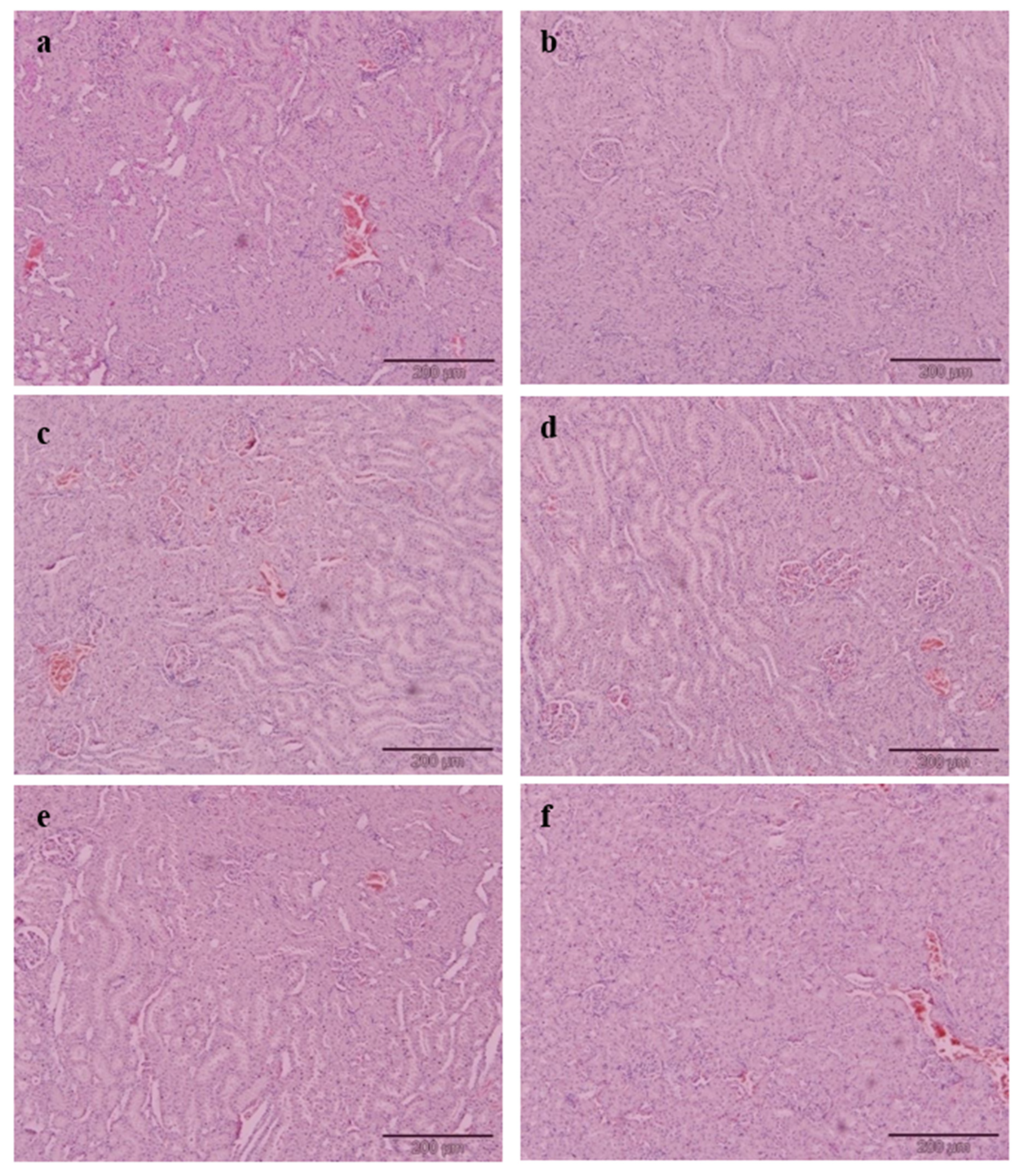 Nutrients 12 03077 g003