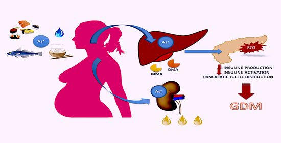 foltok diabetes mellitus a test