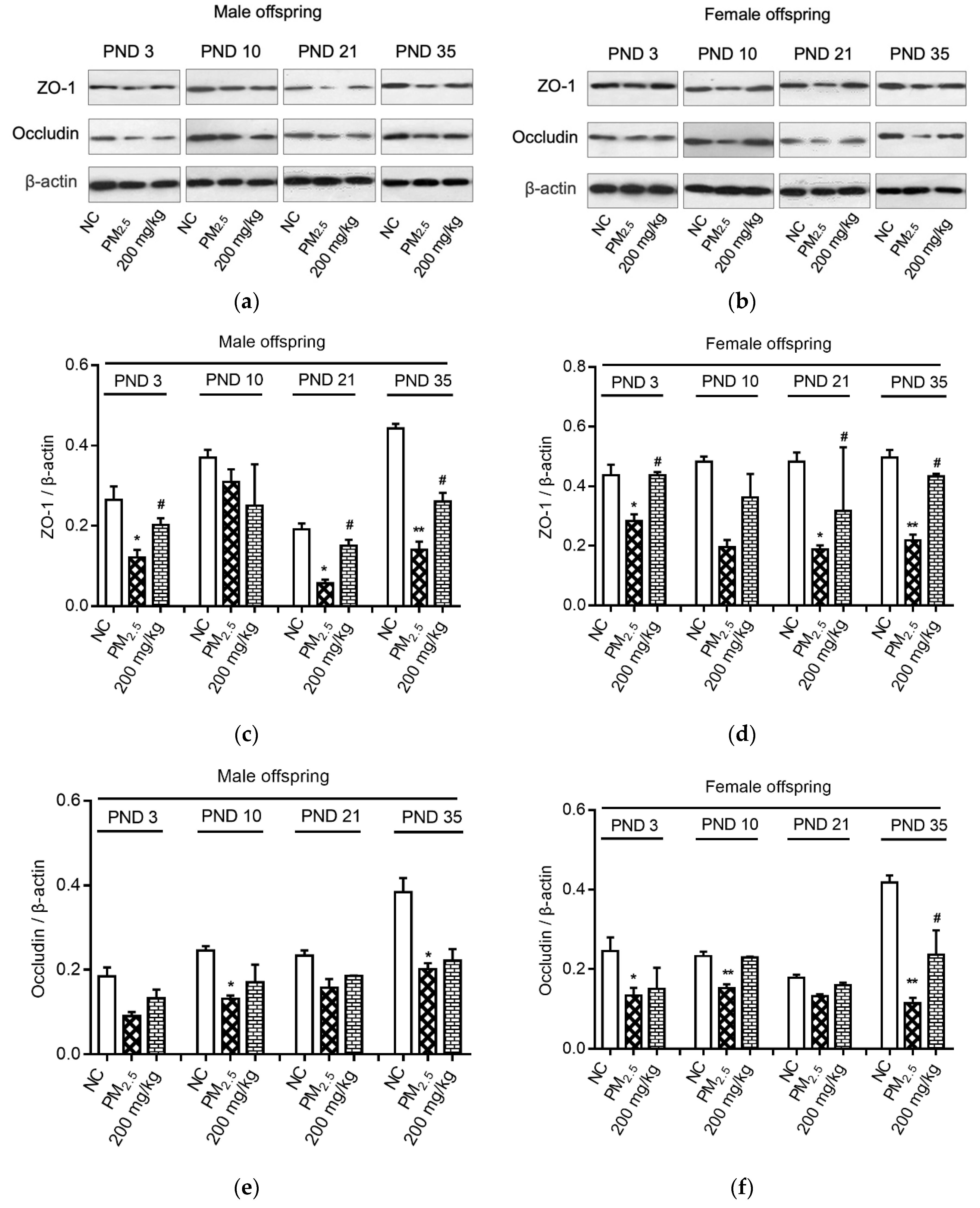 Nutrients 12 03095 g004