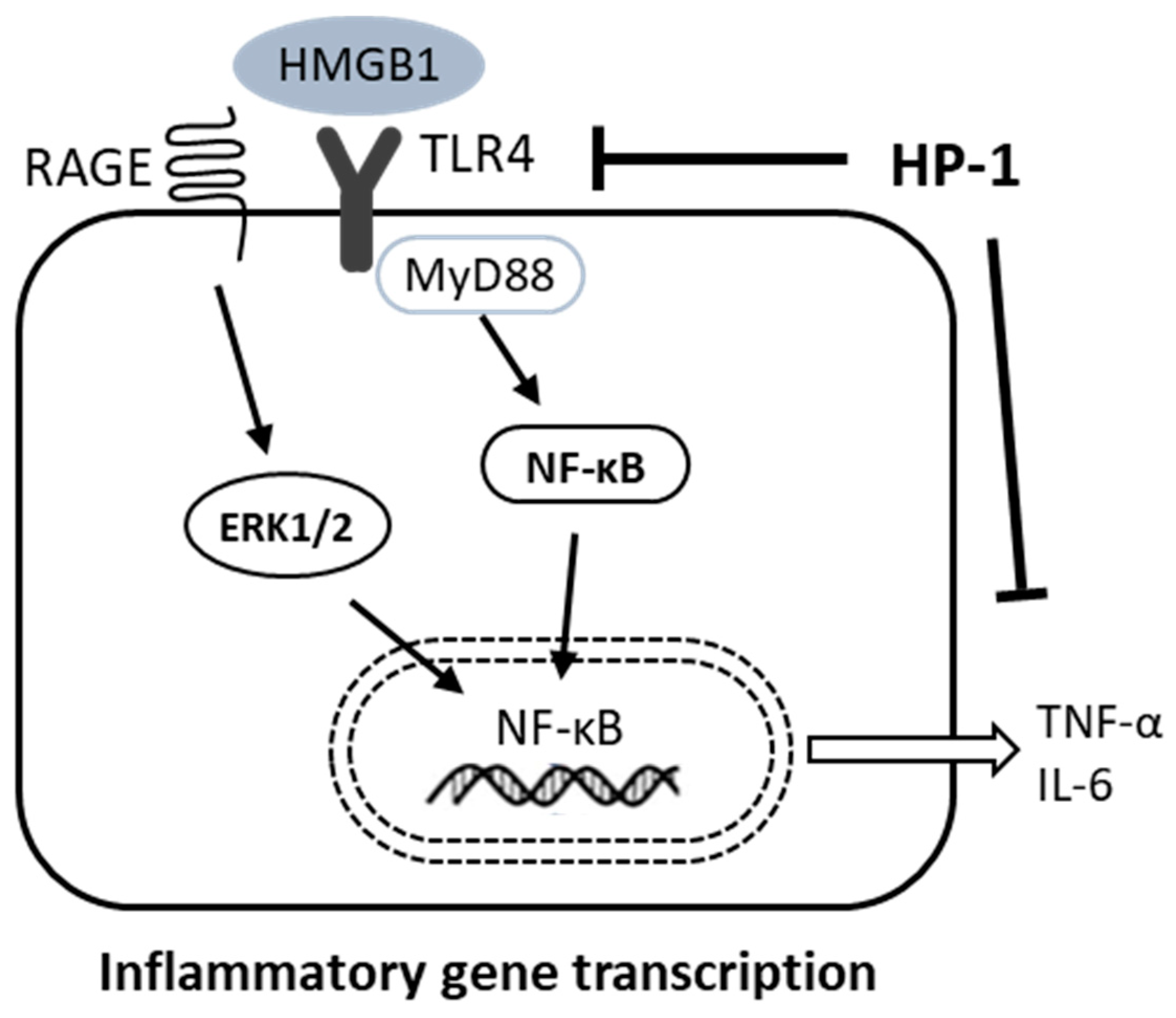 Nutrients 12 03096 g007 Nutrients 12 03096 g007