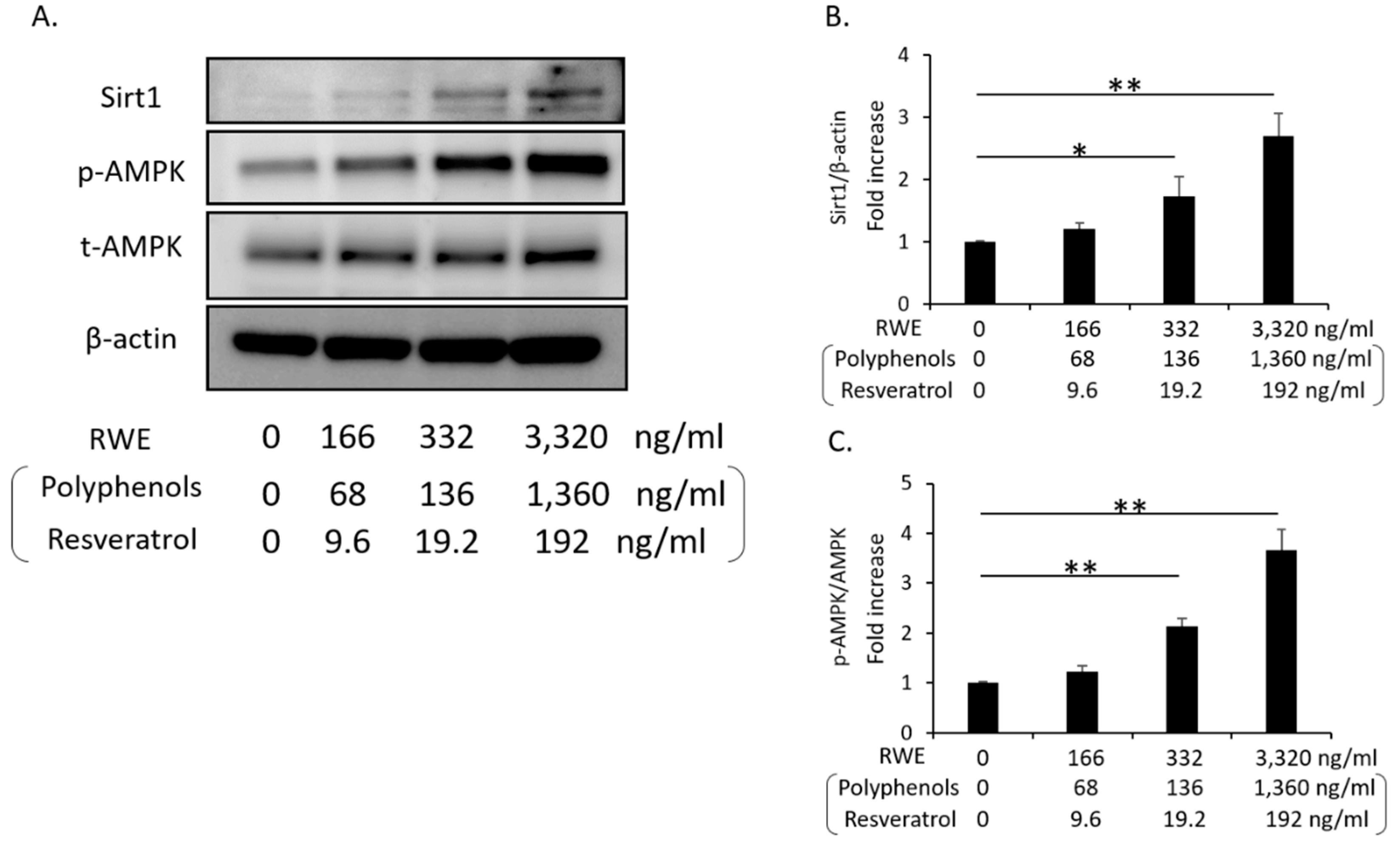 Nutrients 12 03108 g002 Nutrients 12 03108 g002