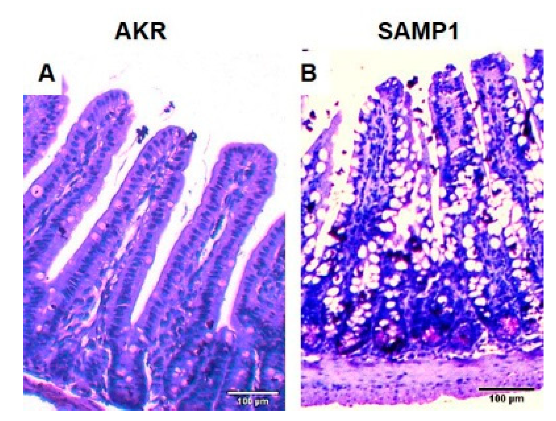 Nutrients 12 03116 g001 Nutrients 12 03116 g001