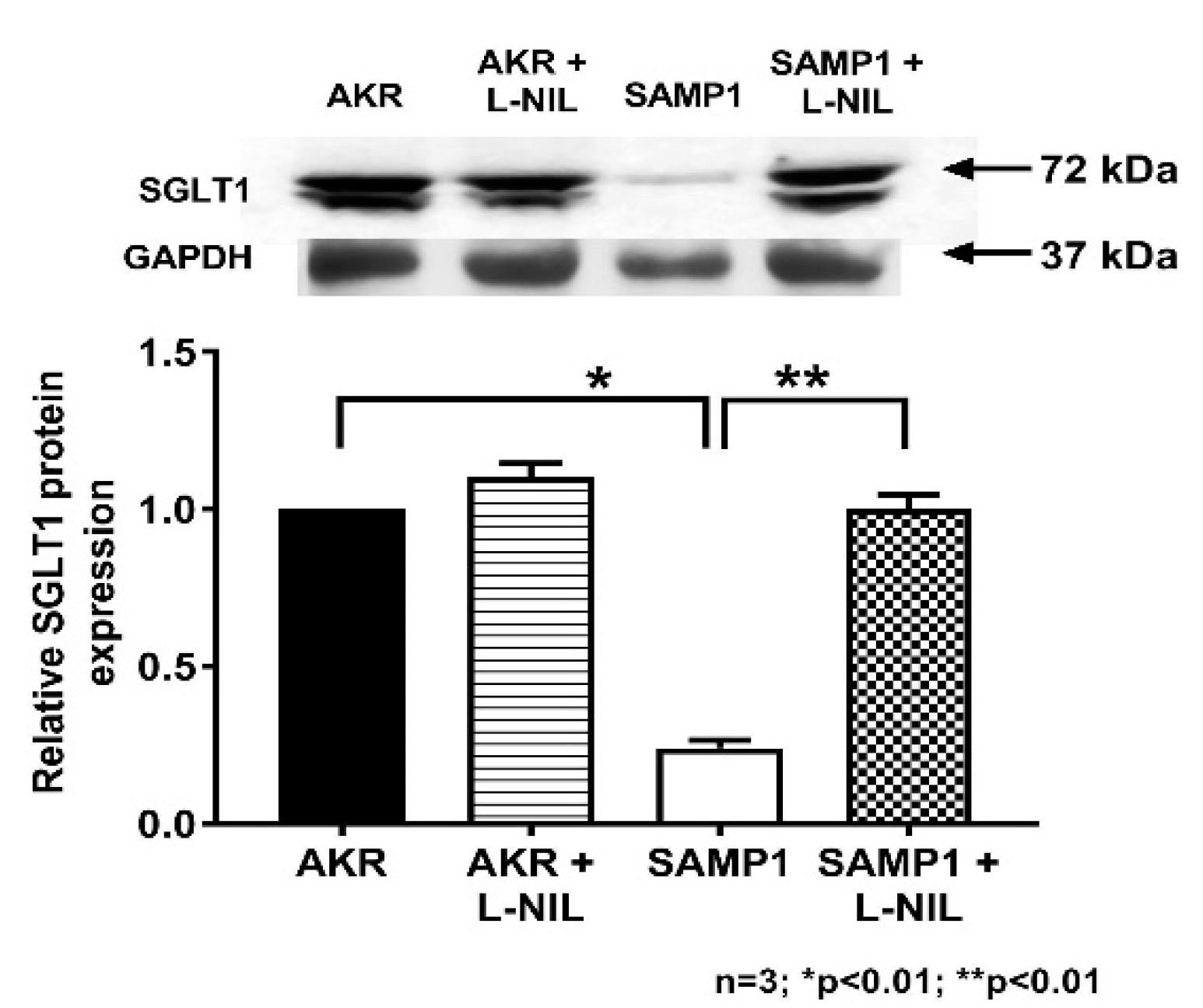 Nutrients 12 03116 g008 Nutrients 12 03116 g008