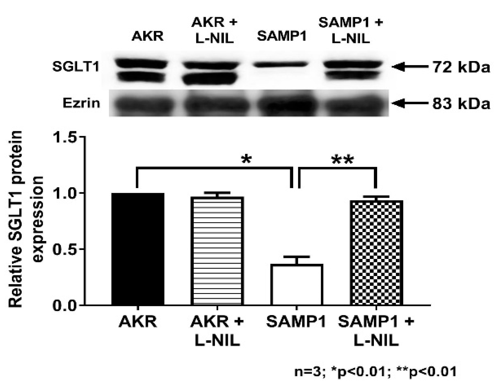 Nutrients 12 03116 g009 Nutrients 12 03116 g009