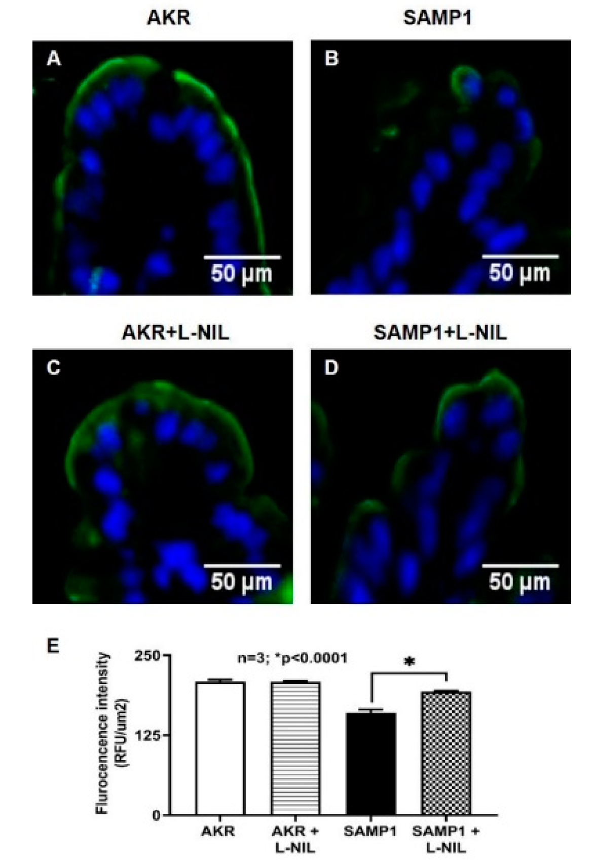 Nutrients 12 03116 g010 Nutrients 12 03116 g010