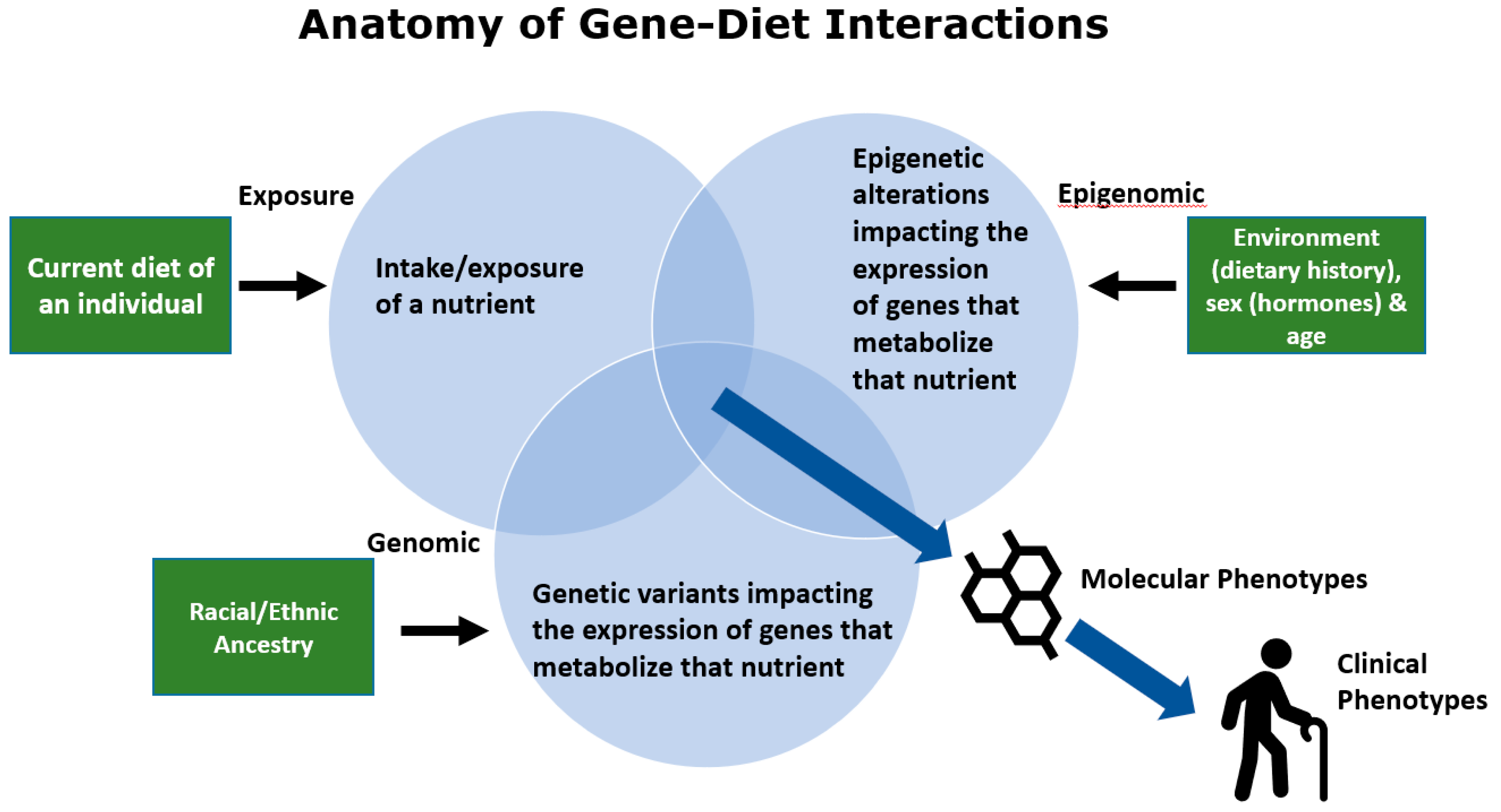 Nutrients 12 03118 g002 Nutrients 12 03118 g002