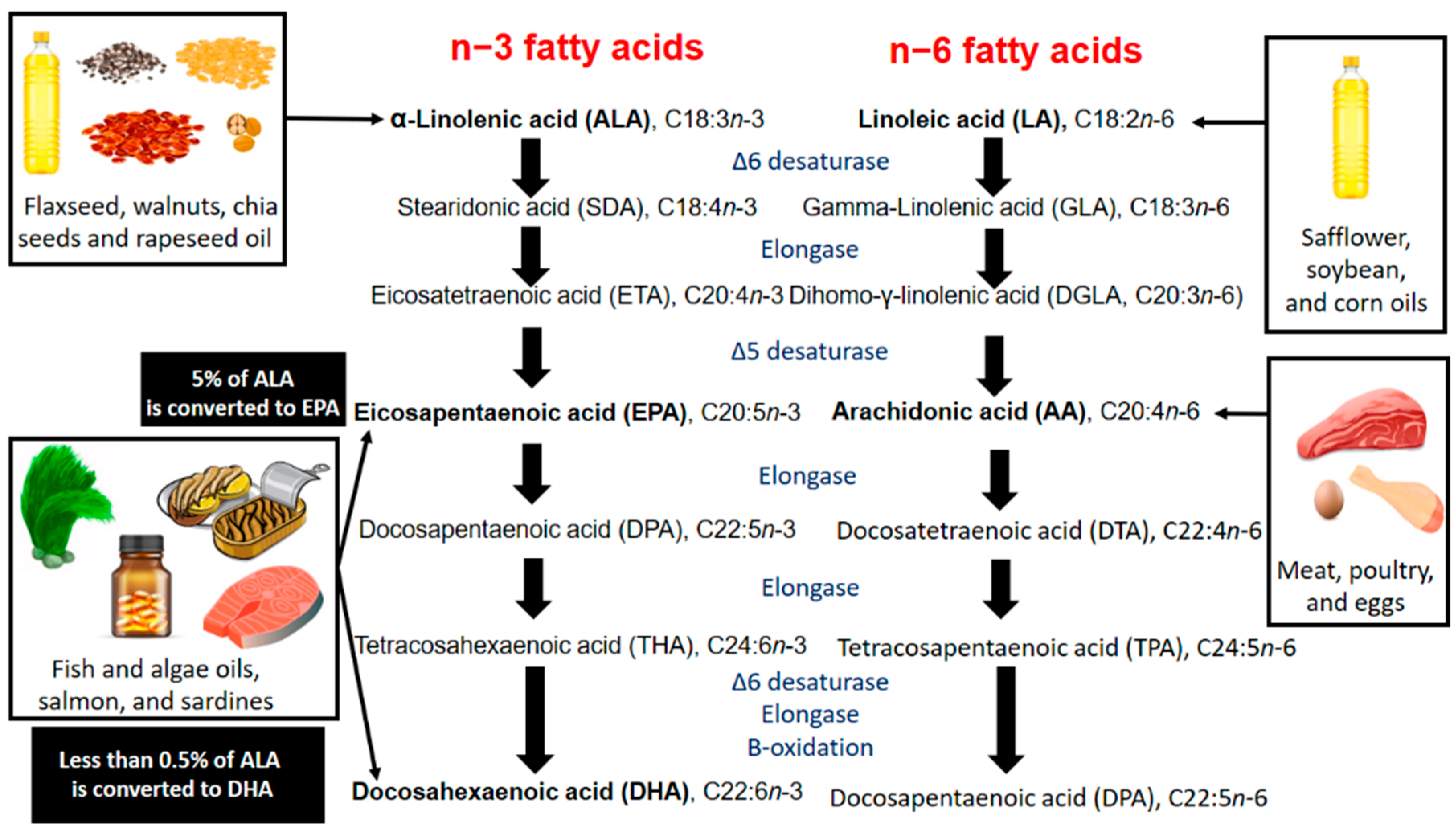 Beyond Fish Oil Supplementation: The Effects of Alternative Plant Sources o...