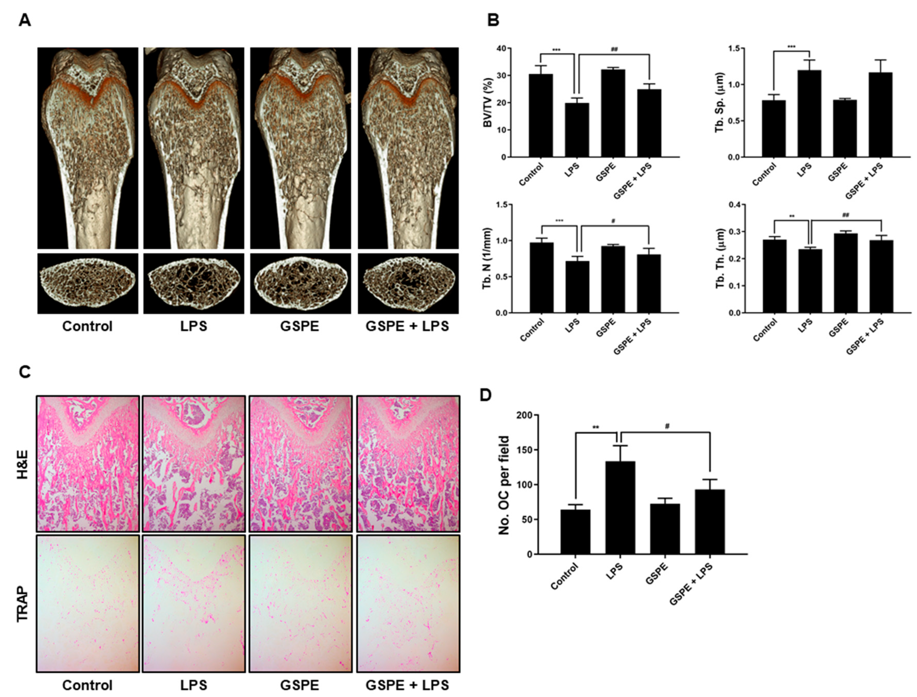 Nutrients 12 03164 g001