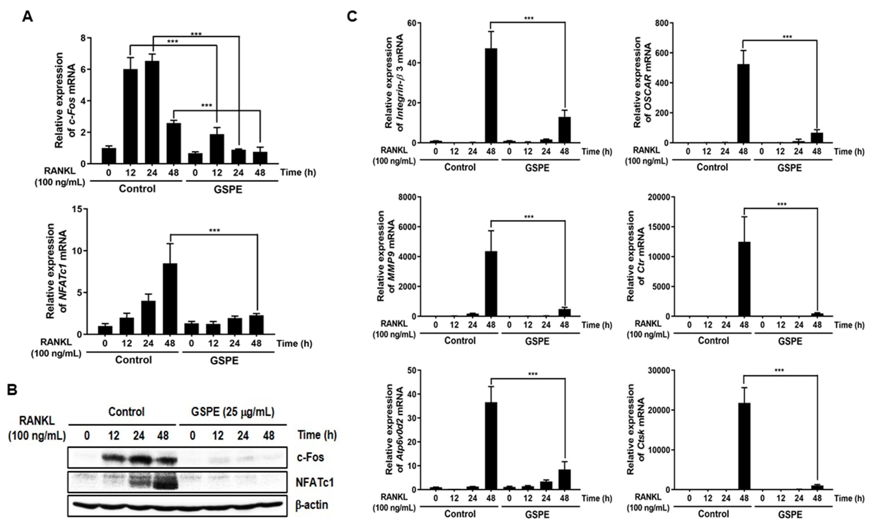 Nutrients 12 03164 g003