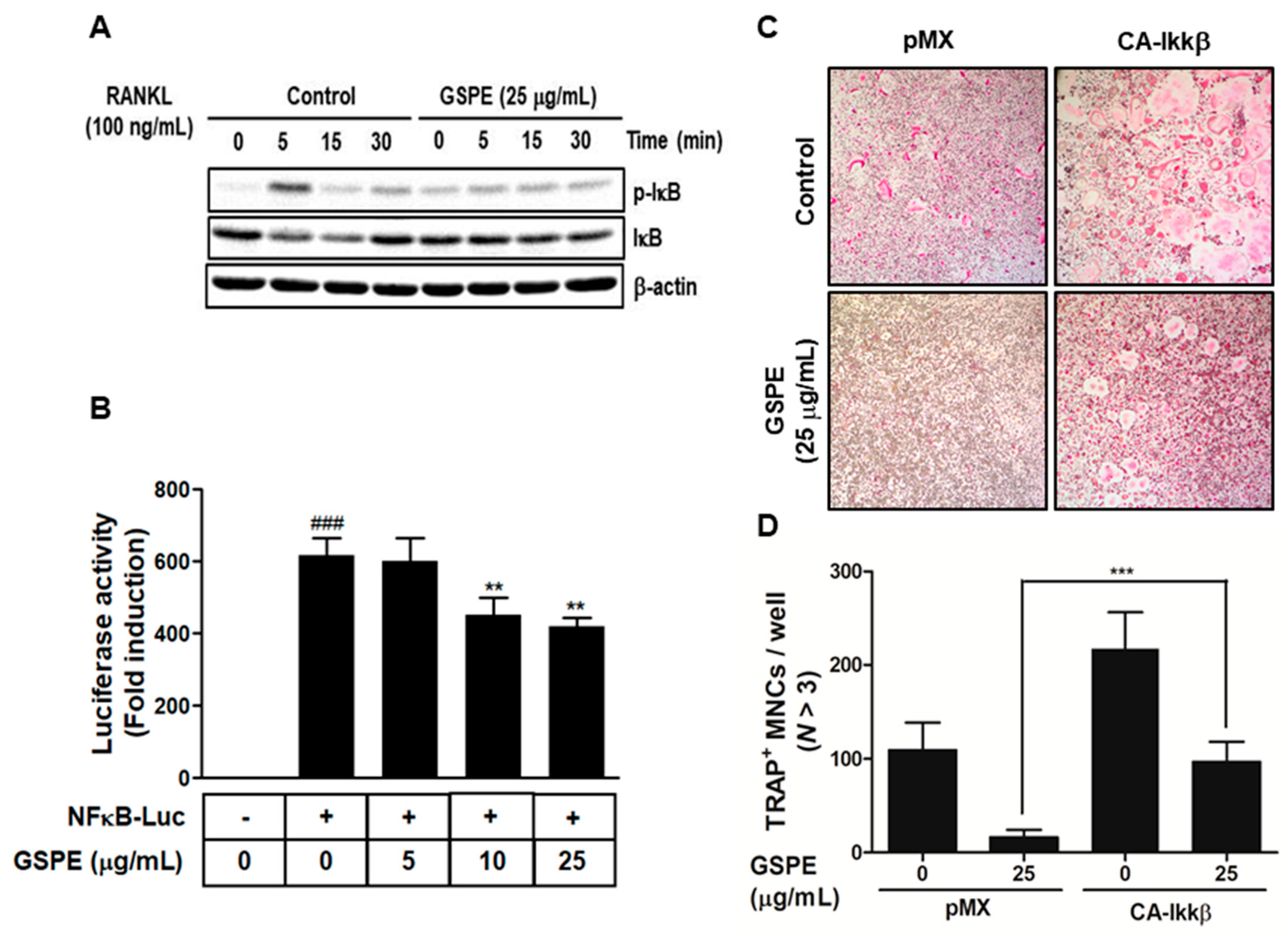 Nutrients 12 03164 g004